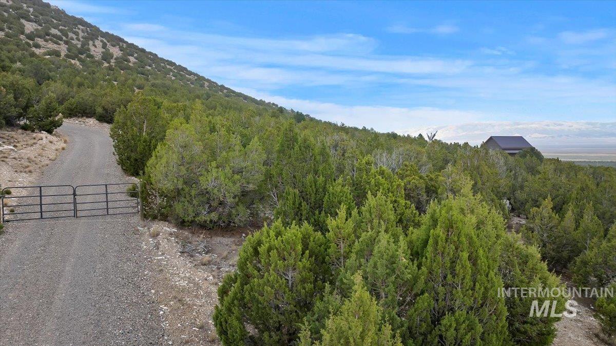 TBD TBD, Almo, Idaho 83312, Land For Sale, Price $300,000, 98993085