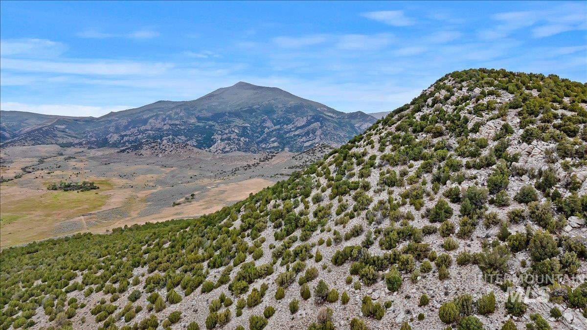 TBD TBD, Almo, Idaho 83312, Land For Sale, Price $300,000, 98993085