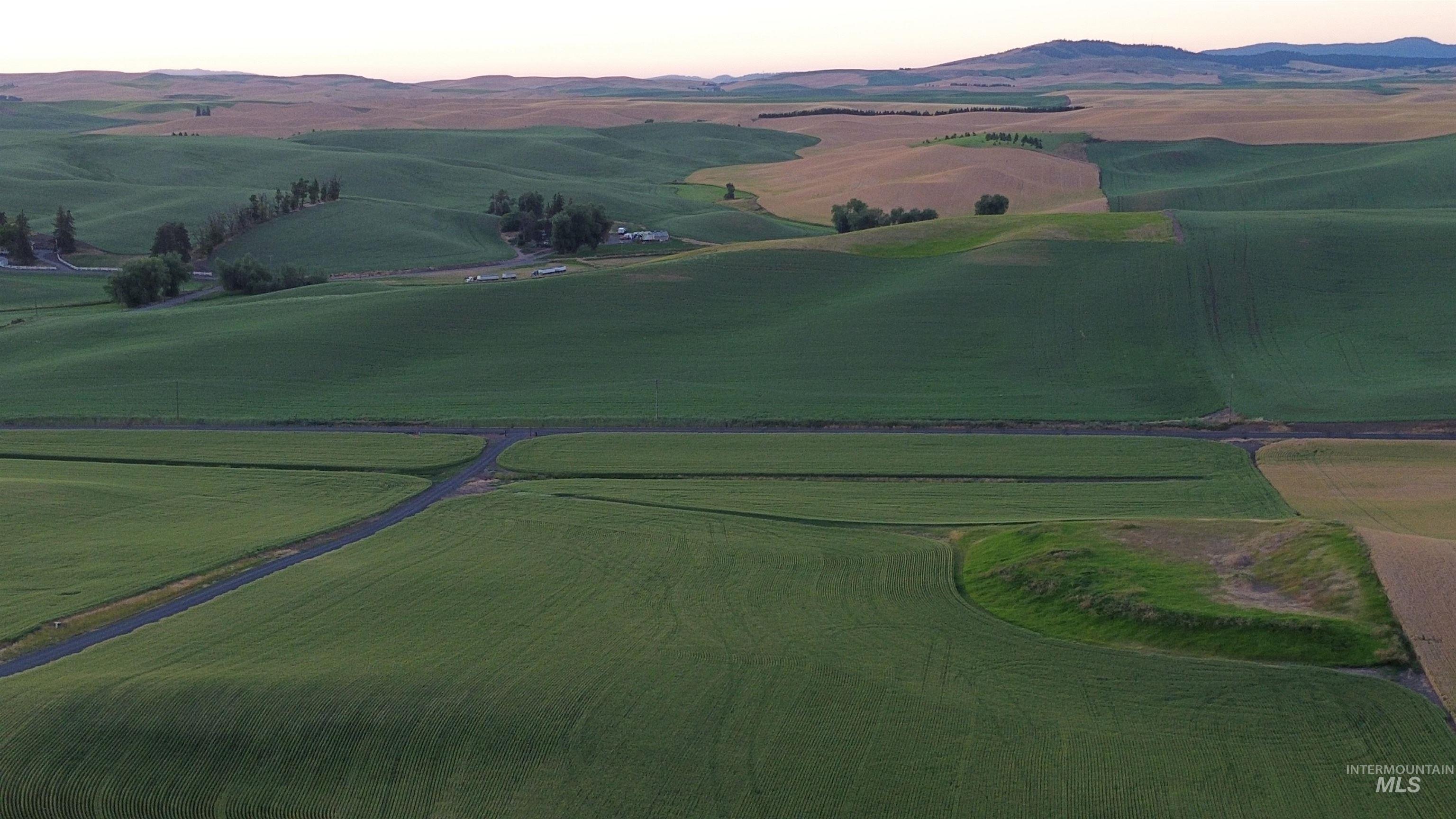 1513 Uniontown Rd, Genesee, Idaho 83501, 5 Bedrooms, 4 Bathrooms, Residential For Sale, Price $1,550,000,MLS 98993103