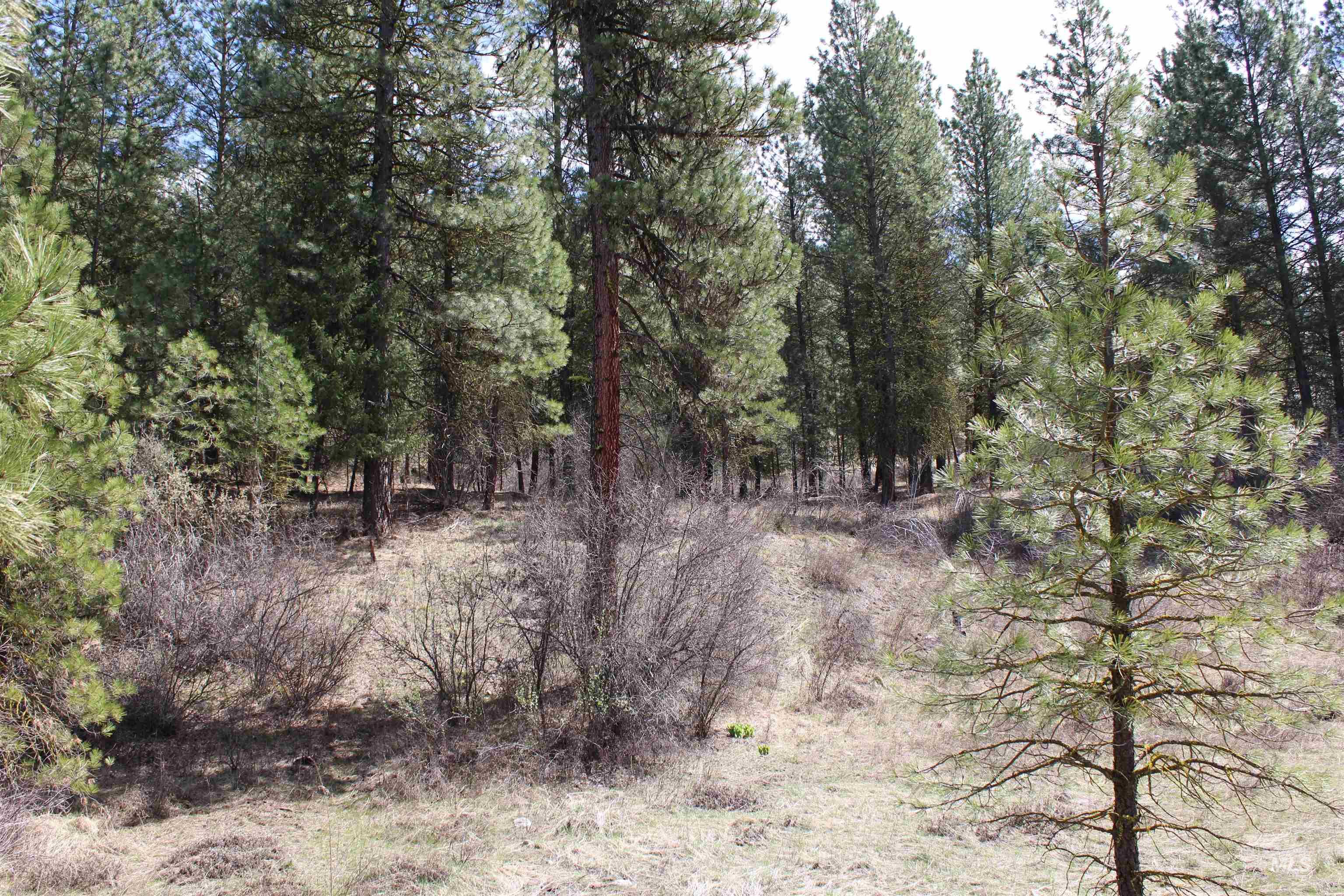 lot 19 blk 1 Creekside at Cross Timber Ranch, Garden Valley, Idaho 83622, Land For Sale, Price $425,000, 98993109
