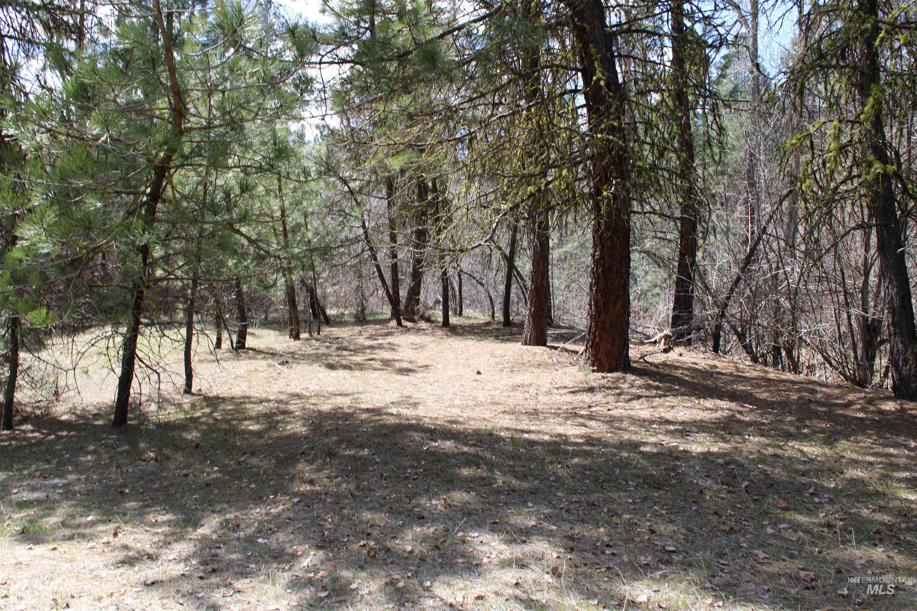 lot 19 blk 1 Creekside at Cross Timber Ranch, Garden Valley, Idaho 83622, Land For Sale, Price $425,000,MLS 98993109