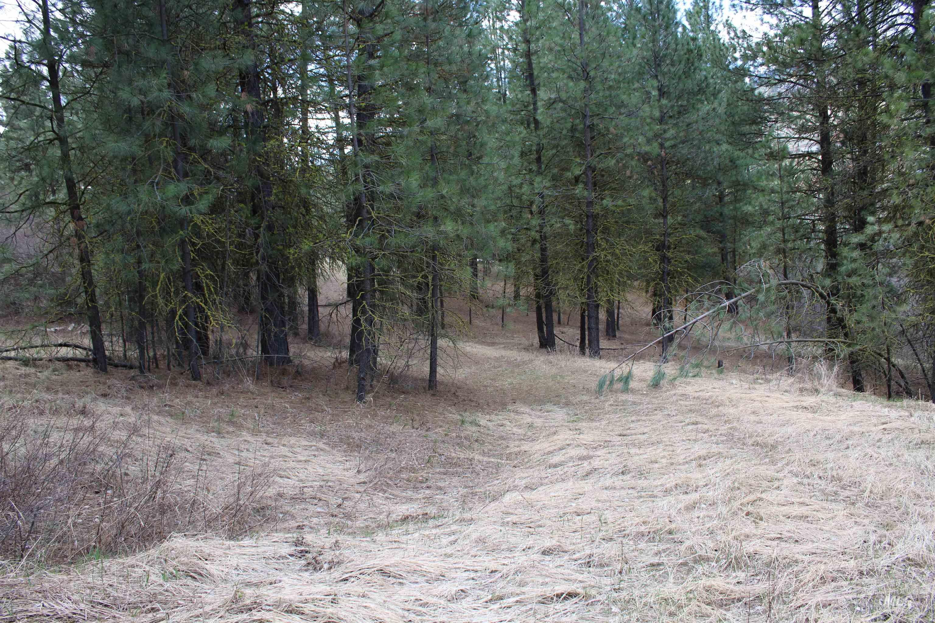 lot 19 blk 1 Creekside at Cross Timber Ranch, Garden Valley, Idaho 83622, Land For Sale, Price $425,000,MLS 98993109