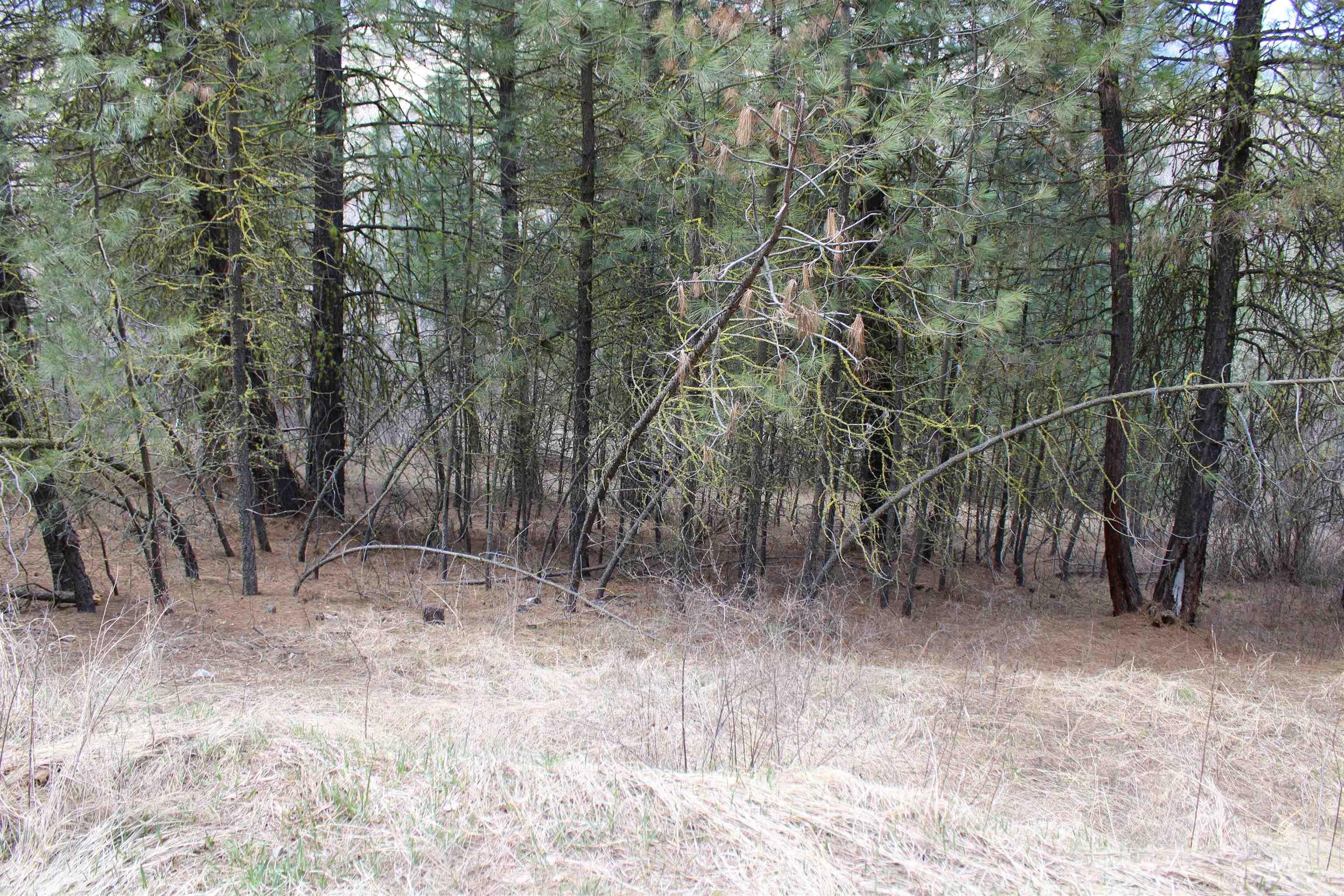 lot 19 blk 1 Creekside at Cross Timber Ranch, Garden Valley, Idaho 83622, Land For Sale, Price $425,000,MLS 98993109