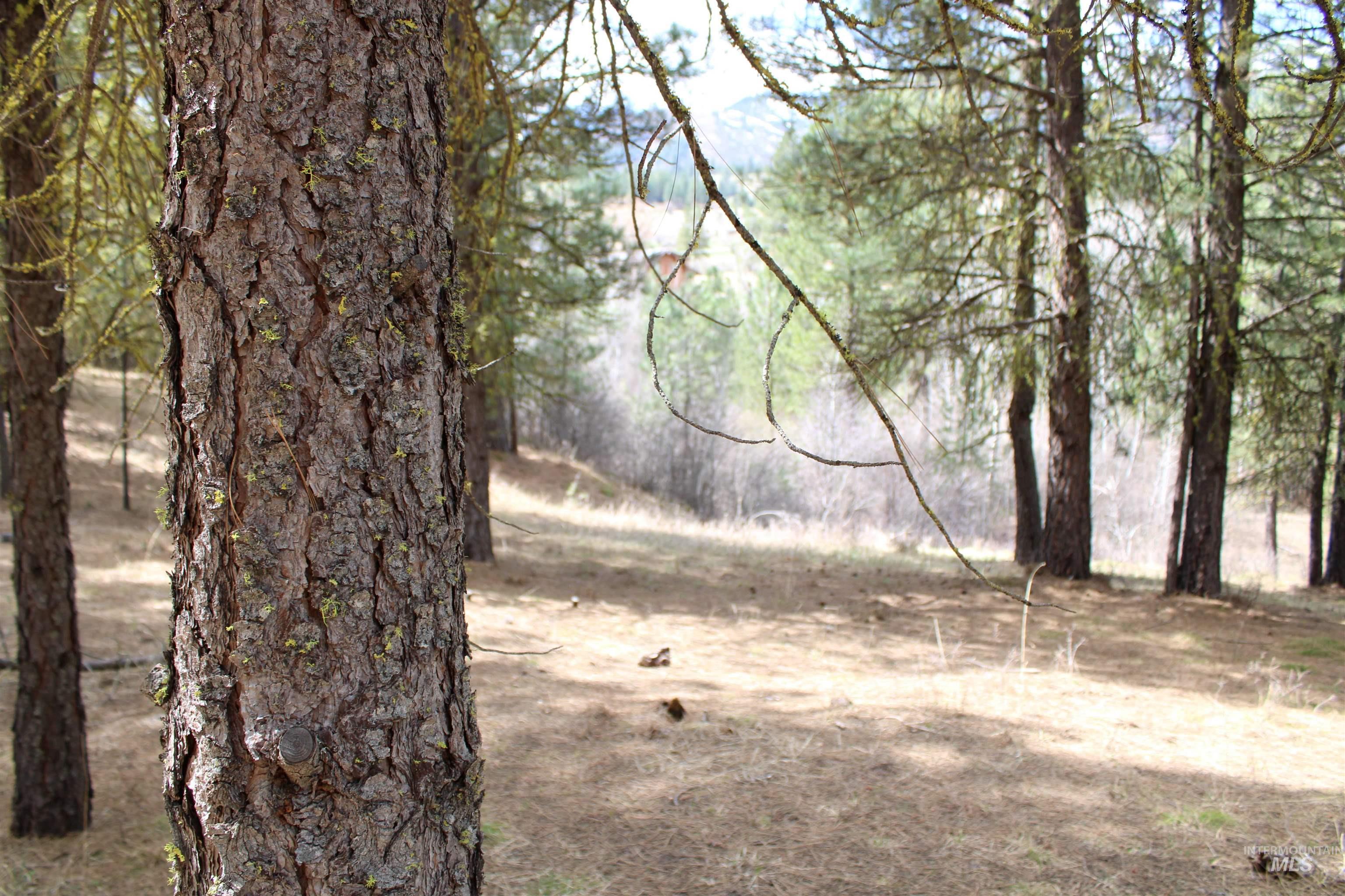lot 19 blk 1 Creekside at Cross Timber Ranch, Garden Valley, Idaho 83622, Land For Sale, Price $425,000,MLS 98993109