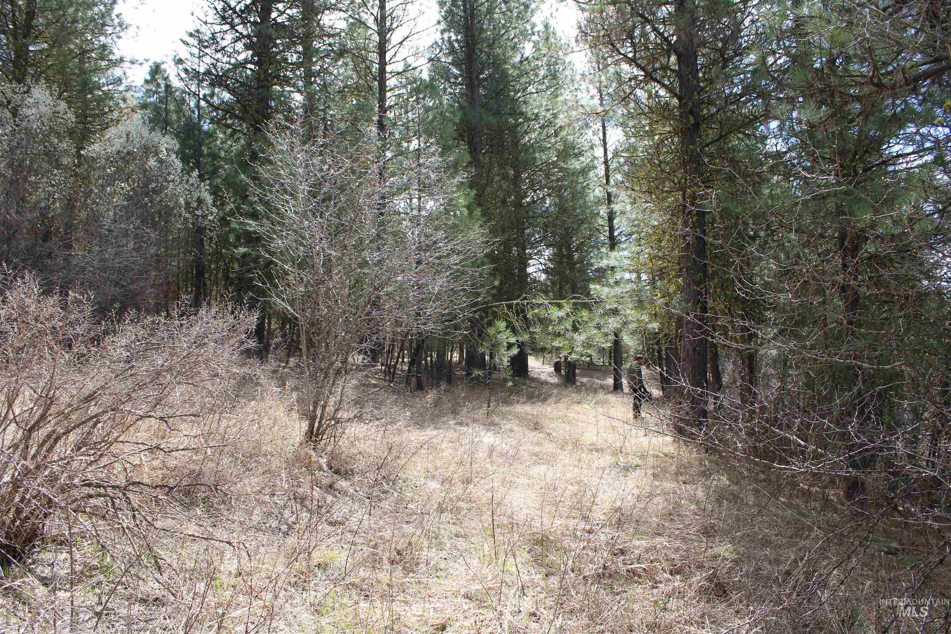 lot 19 blk 1 Creekside at Cross Timber Ranch, Garden Valley, Idaho 83622, Land For Sale, Price $425,000,MLS 98993109