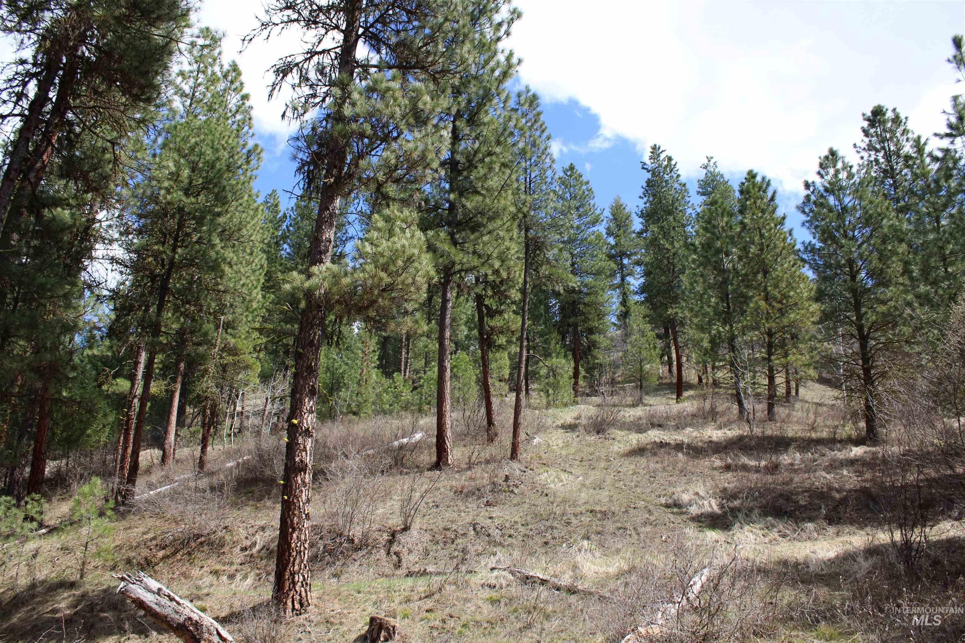 lot 19 blk 1 Creekside at Cross Timber Ranch, Garden Valley, Idaho 83622, Land For Sale, Price $425,000, 98993109
