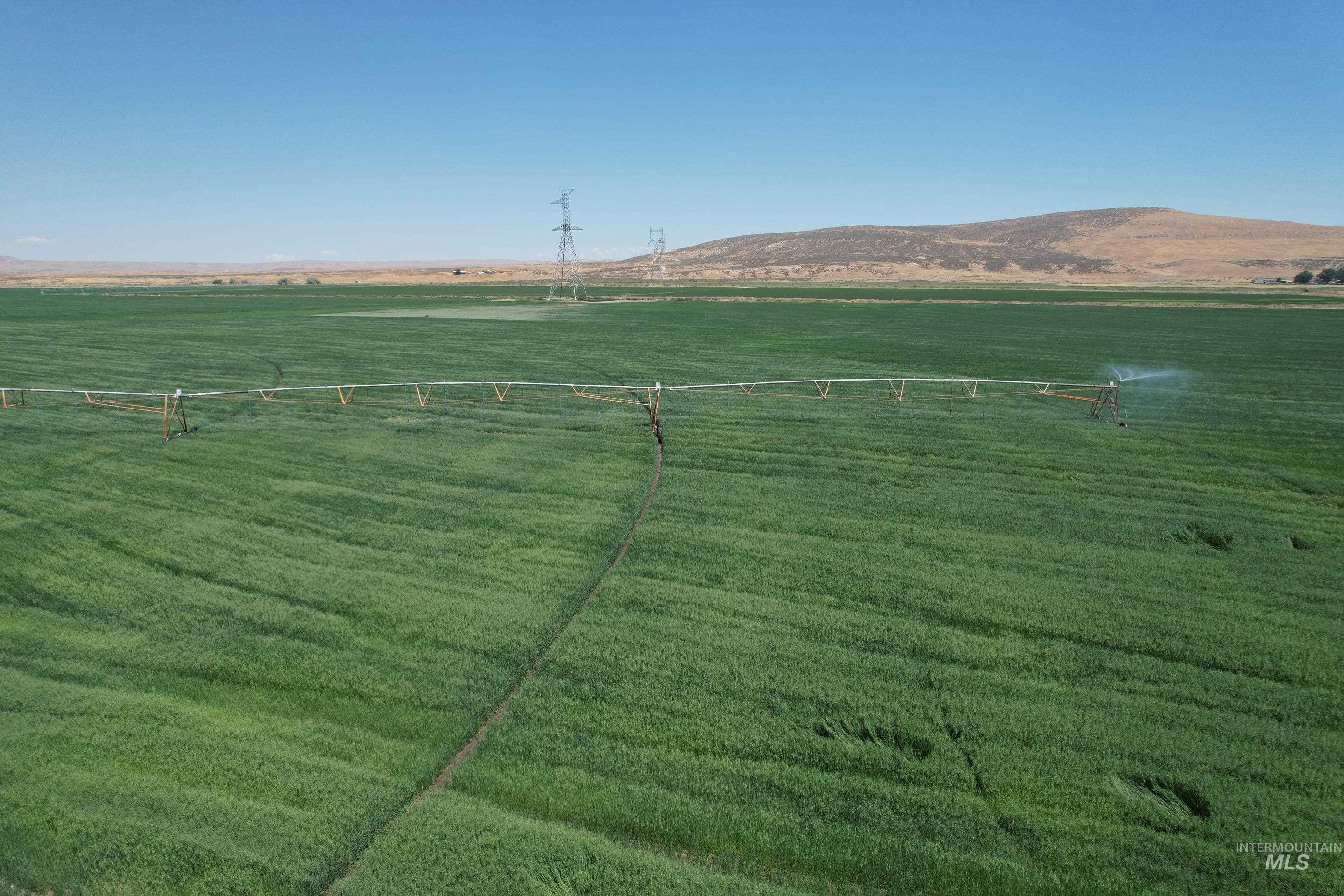 Farm & Ranch For Sale
