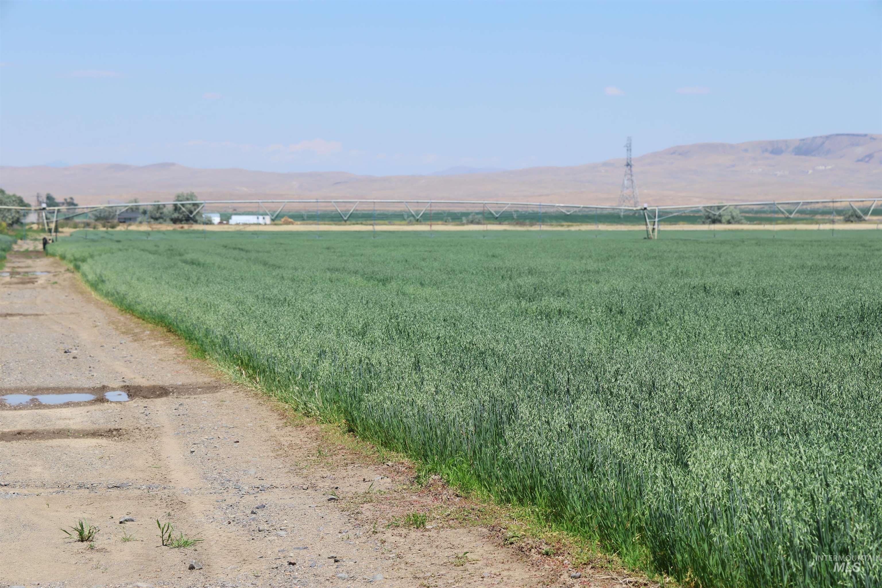 4362 John Day Highway, Vale, Idaho 97918, Farm & Ranch For Sale, Price $1,600,000, 98993113