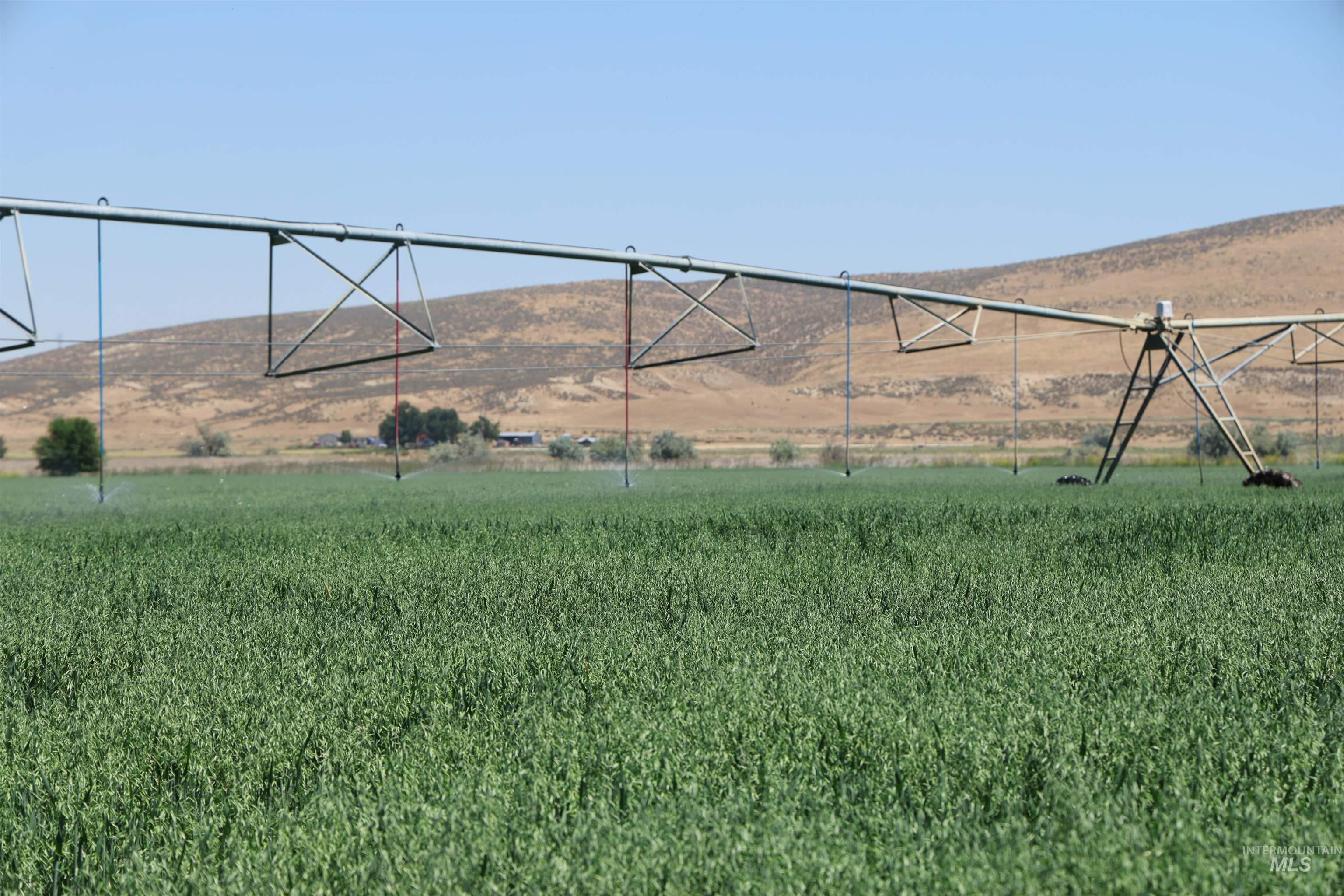 4362 John Day Highway, Vale, Idaho 97918, Farm & Ranch For Sale, Price $1,600,000, 98993113