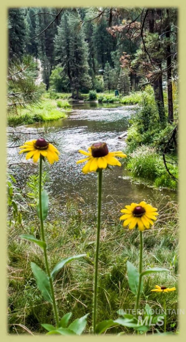 819 Middlefork Rd, Garden Valley, Idaho 83622, 2 Bedrooms, 2 Bathrooms, Residential Income For Sale, Price $889,000, 98993118