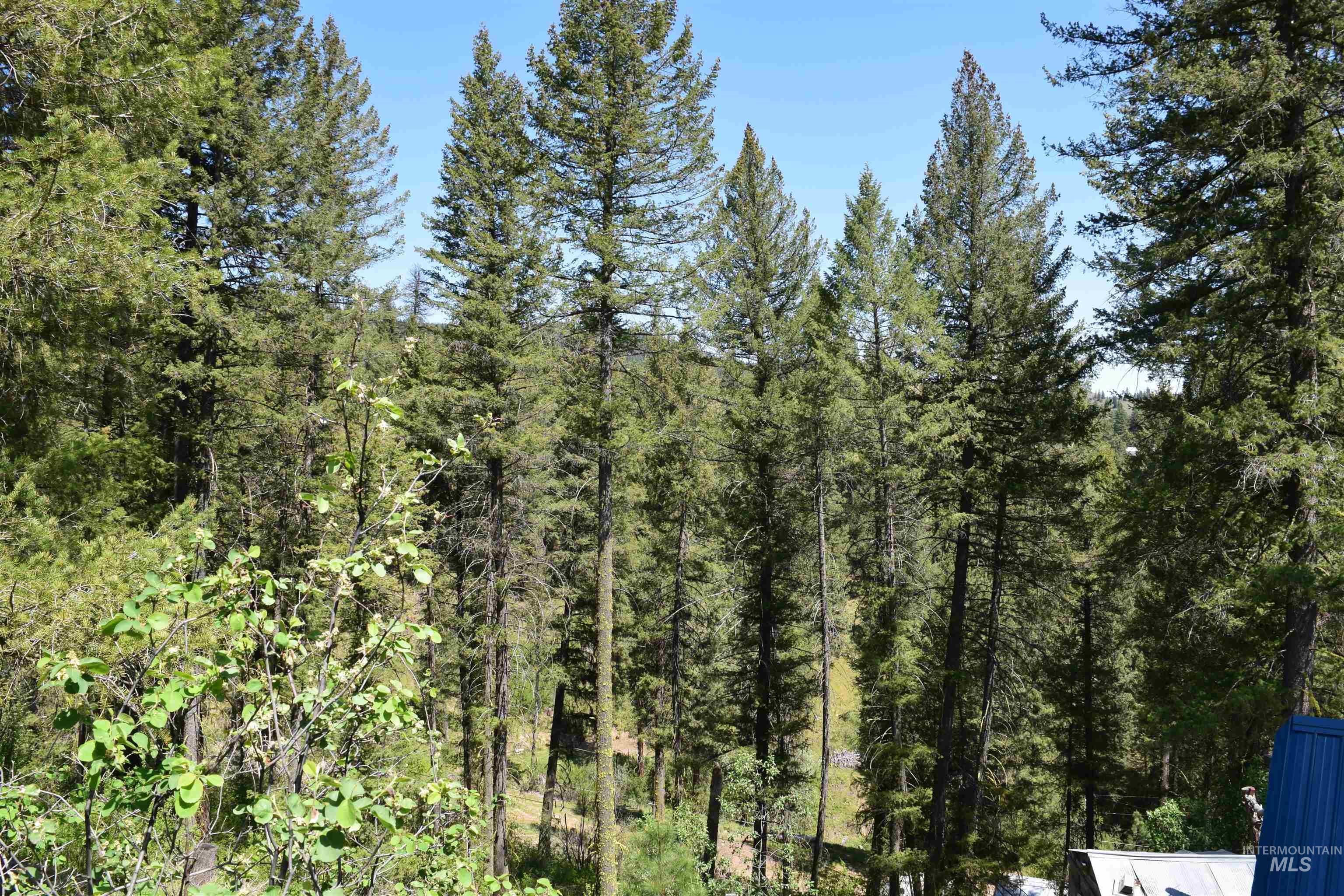 18 Alpine Place, Boise, Idaho 83716, Land For Sale, Price $100,000,MLS 98993177