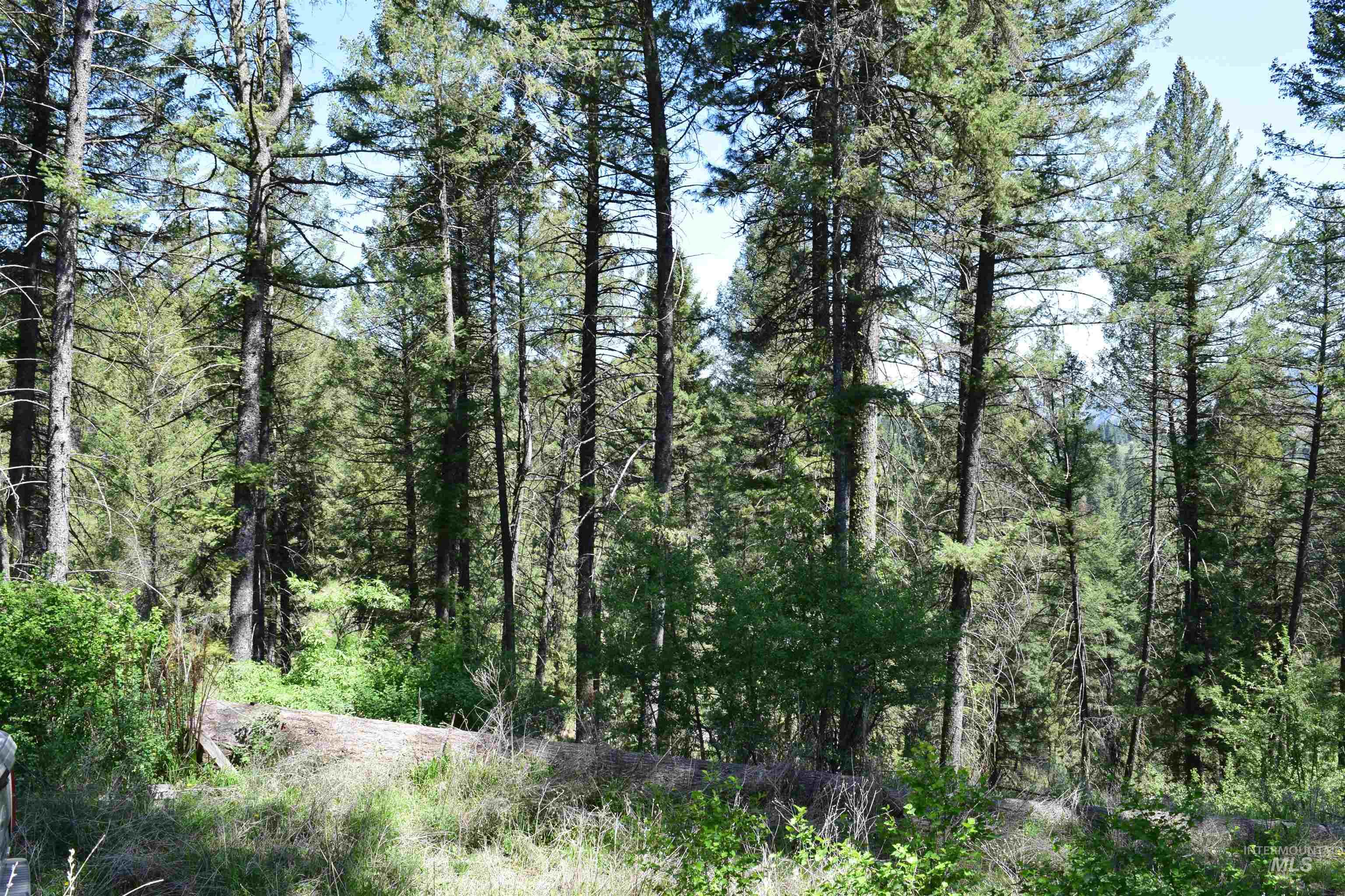 18 Alpine Place, Boise, Idaho 83716, Land For Sale, Price $100,000,MLS 98993177