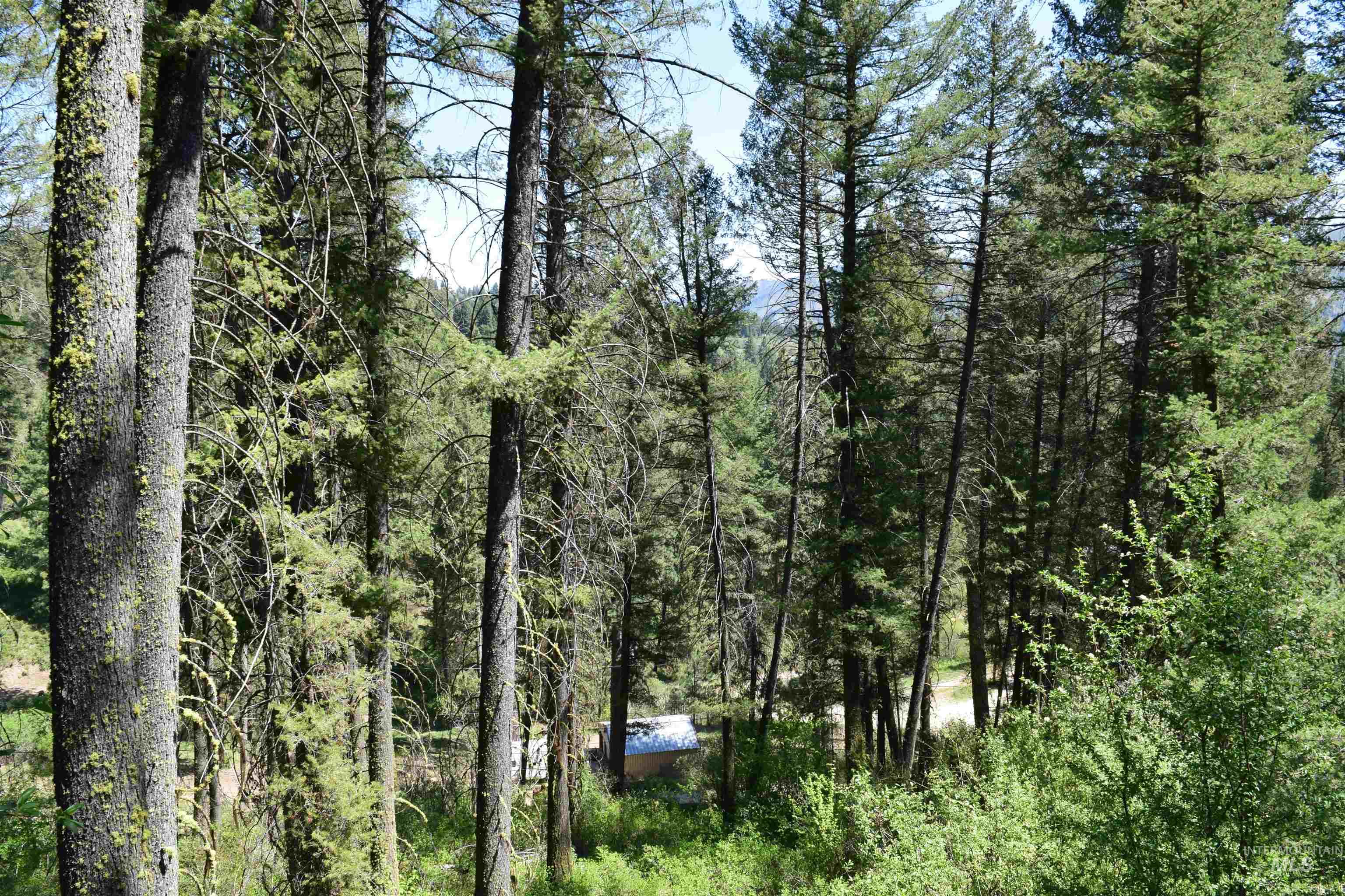 18 Alpine Place, Boise, Idaho 83716, Land For Sale, Price $100,000,MLS 98993177
