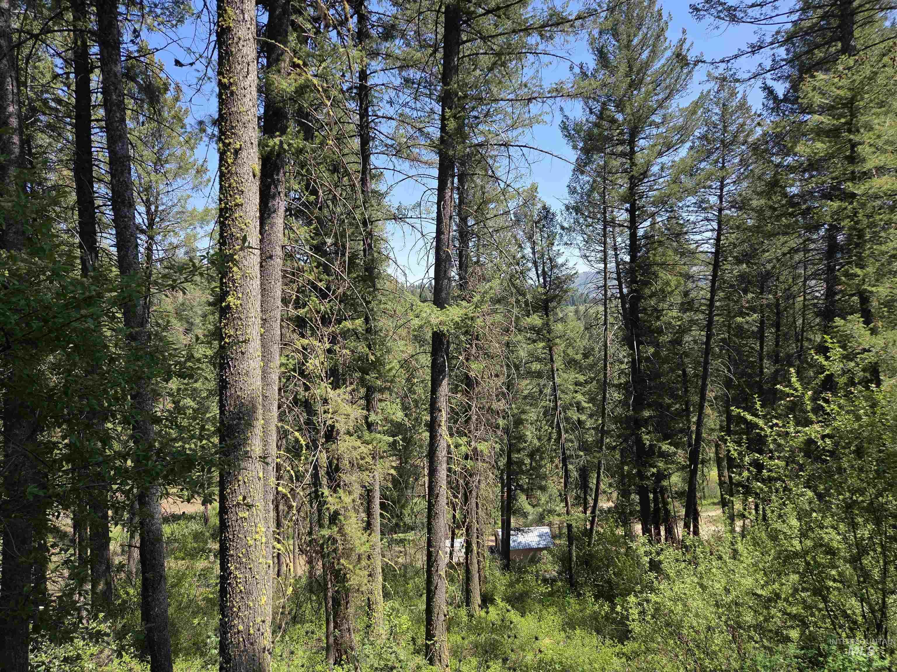 18 Alpine Place, Boise, Idaho 83716, Land For Sale, Price $100,000,MLS 98993177