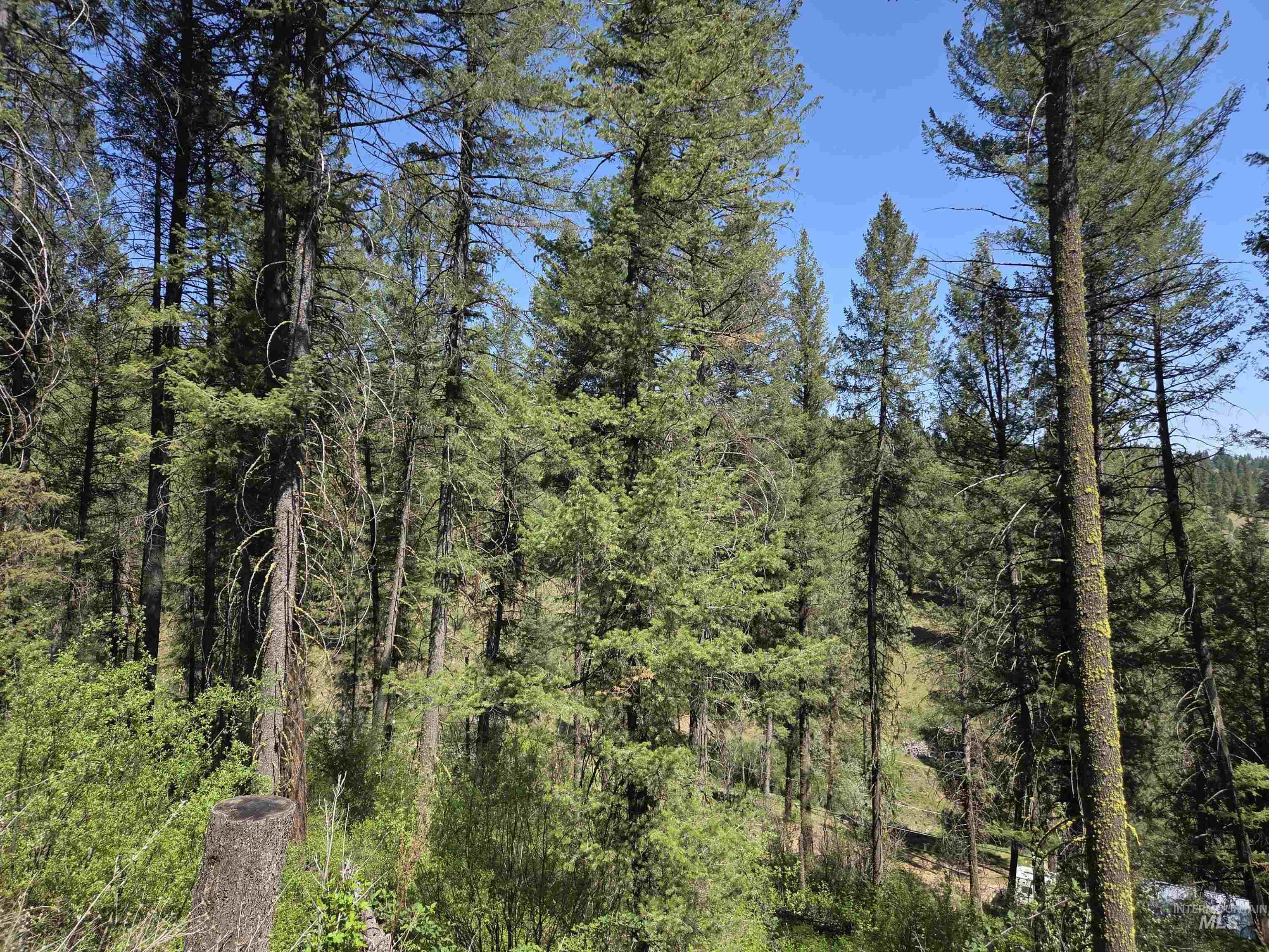 18 Alpine Place, Boise, Idaho 83716, Land For Sale, Price $100,000,MLS 98993177