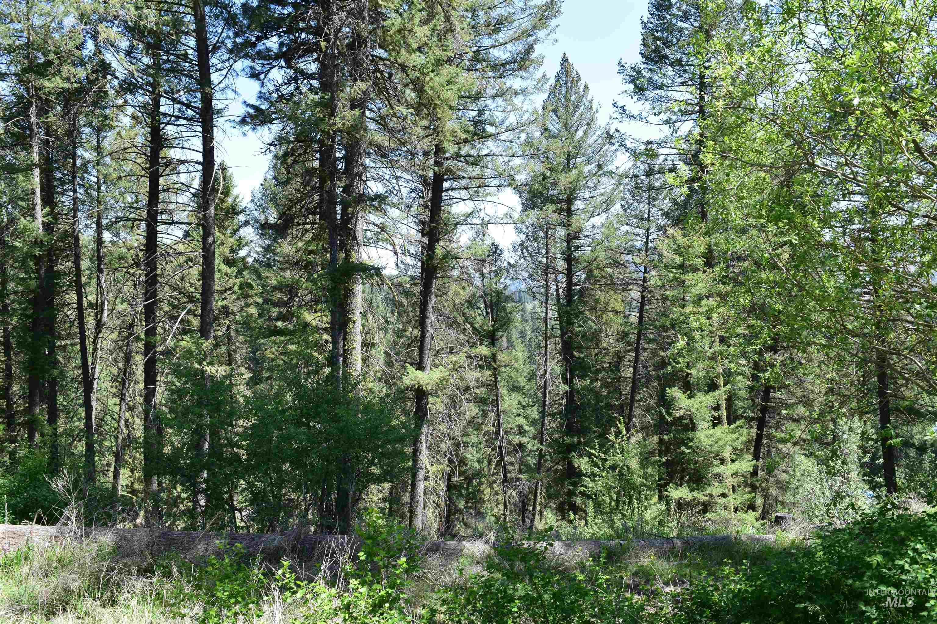 18 Alpine Place, Boise, Idaho 83716, Land For Sale, Price $100,000,MLS 98993177