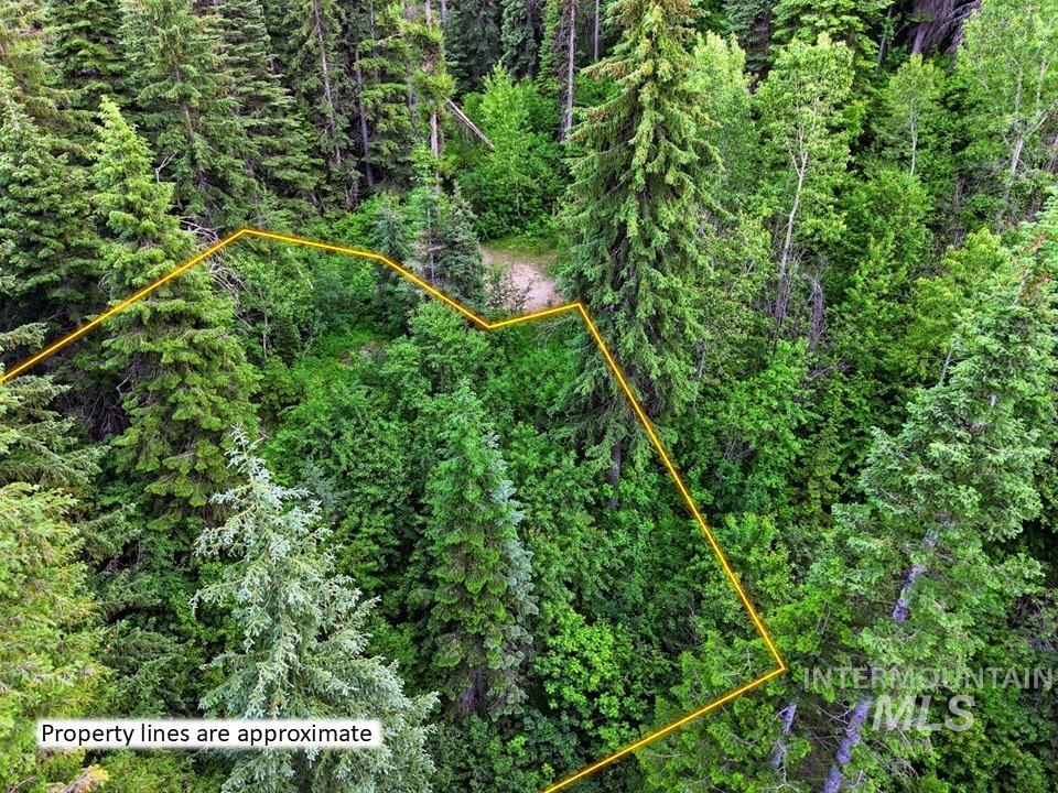 000 Cougar Drive, Cascade, Idaho 83611, Land For Sale, Price $75,000, 98993178