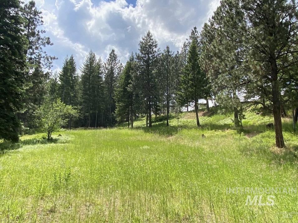 NNA Sangster Rd., Anatone, Washington 99401, Land For Sale, Price $128,000, 98993186