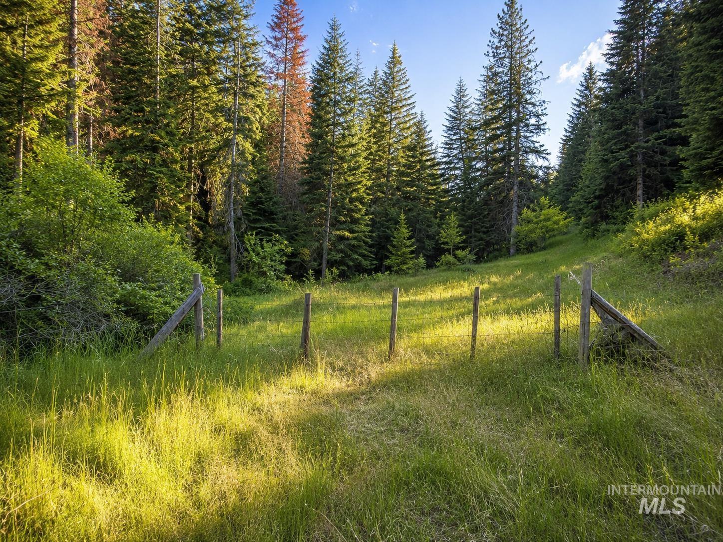 NNA Sangster Rd., Anatone, Washington 99401, Land For Sale, Price $128,000,MLS 98993186