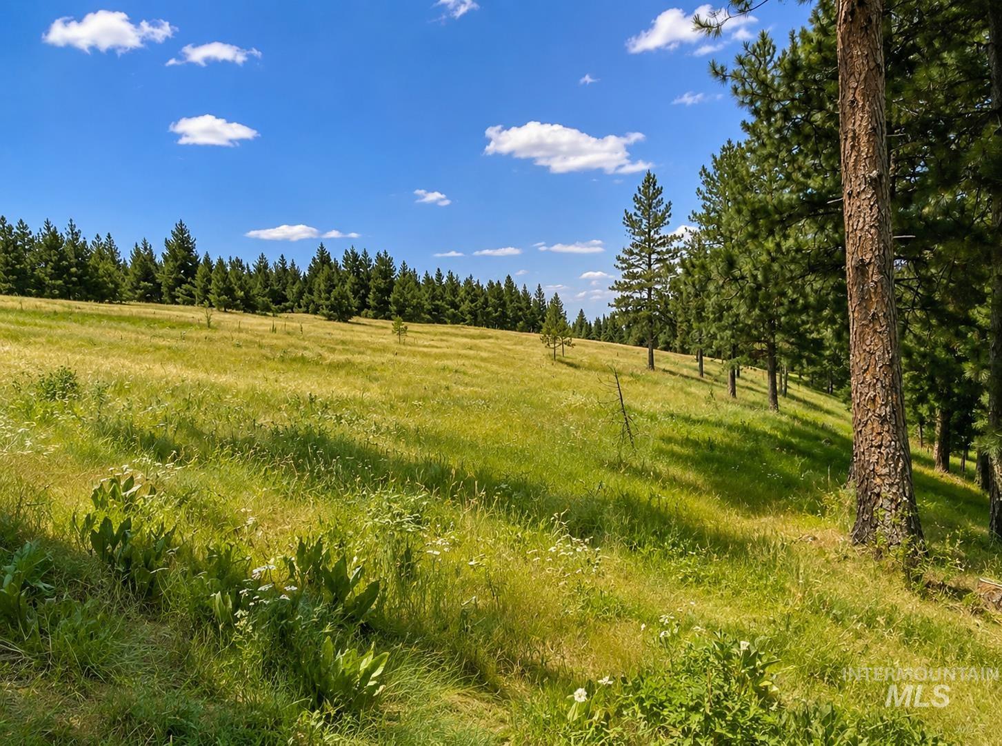 NNA Sangster Rd., Anatone, Washington 99401, Land For Sale, Price $128,000, 98993186