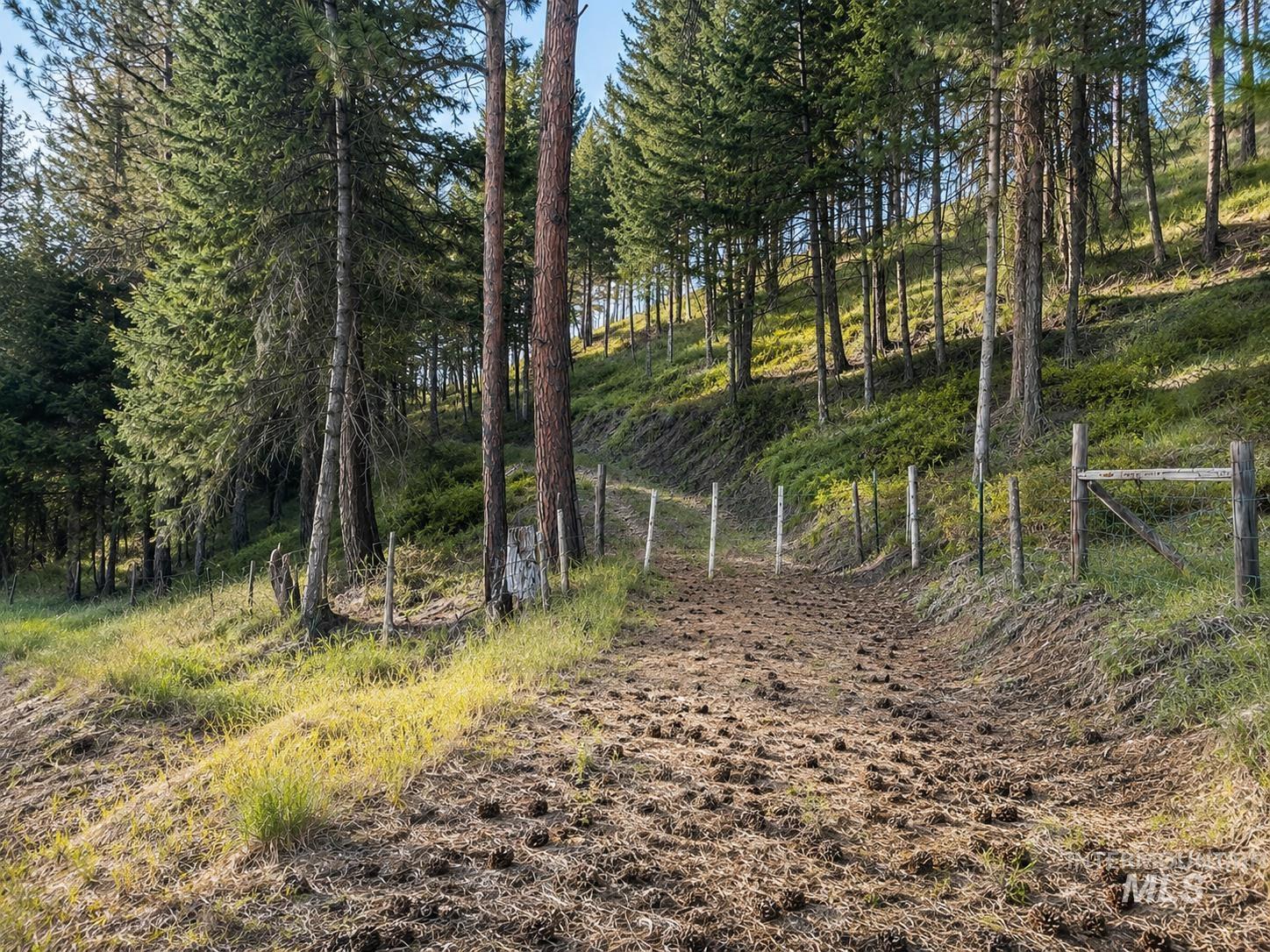 NNA Sangster Rd., Anatone, Washington 99401, Land For Sale, Price $128,000,MLS 98993186