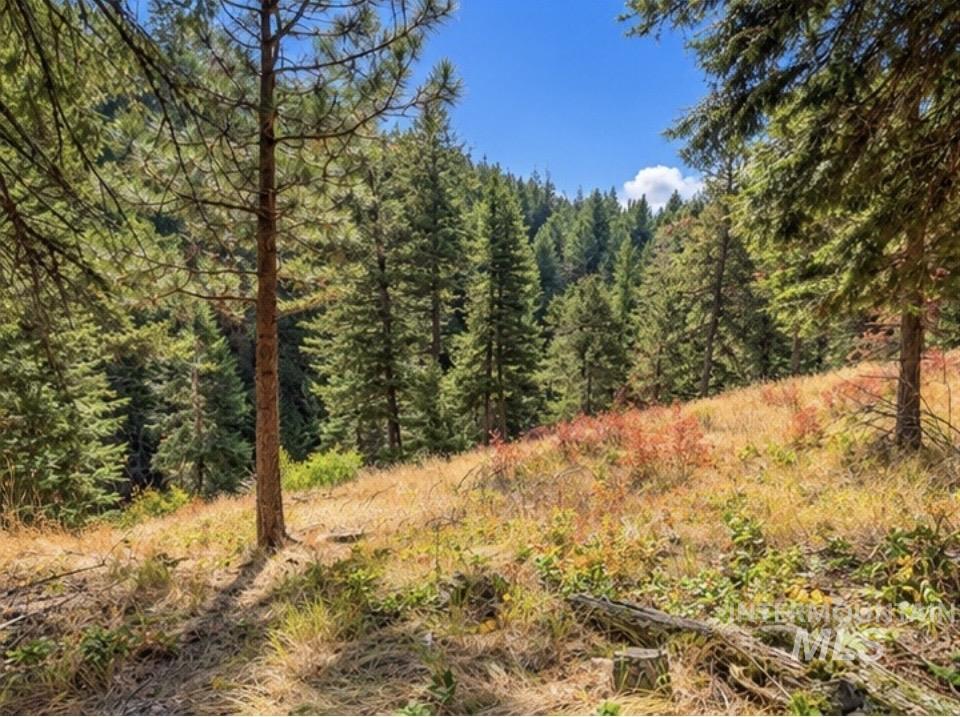 NNA Sangster Rd., Anatone, Washington 99401, Land For Sale, Price $125,000,MLS 98993186