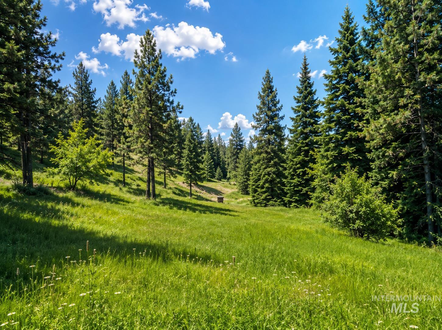 NNA Sangster Rd., Anatone, Washington 99401, Land For Sale, Price $128,000, 98993186