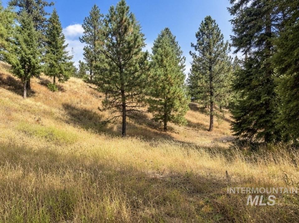 NNA Sangster Rd., Anatone, Washington 99401, Land For Sale, Price $125,000,MLS 98993186