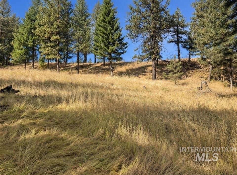 NNA Sangster Rd., Anatone, Washington 99401, Land For Sale, Price $125,000,MLS 98993186