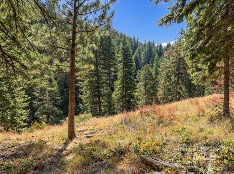 NNA Sangster Rd., Anatone, Washington 99401, Land For Sale, Price $125,000,MLS 98993186