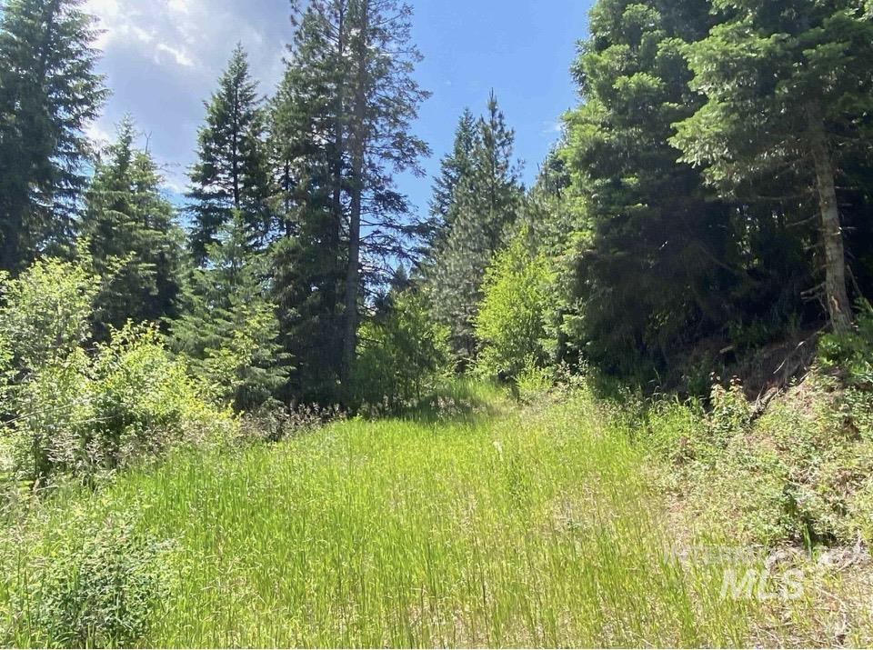 NNA Sangster Rd., Anatone, Washington 99401, Land For Sale, Price $128,000, 98993186