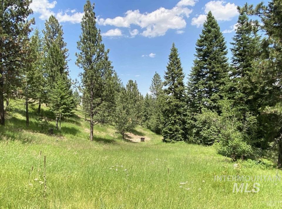 NNA Sangster Rd., Anatone, Washington 99401, Land For Sale, Price $128,000, 98993186
