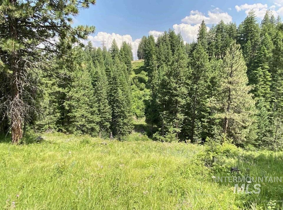 NNA Sangster Rd., Anatone, Washington 99401, Land For Sale, Price $128,000, 98993186