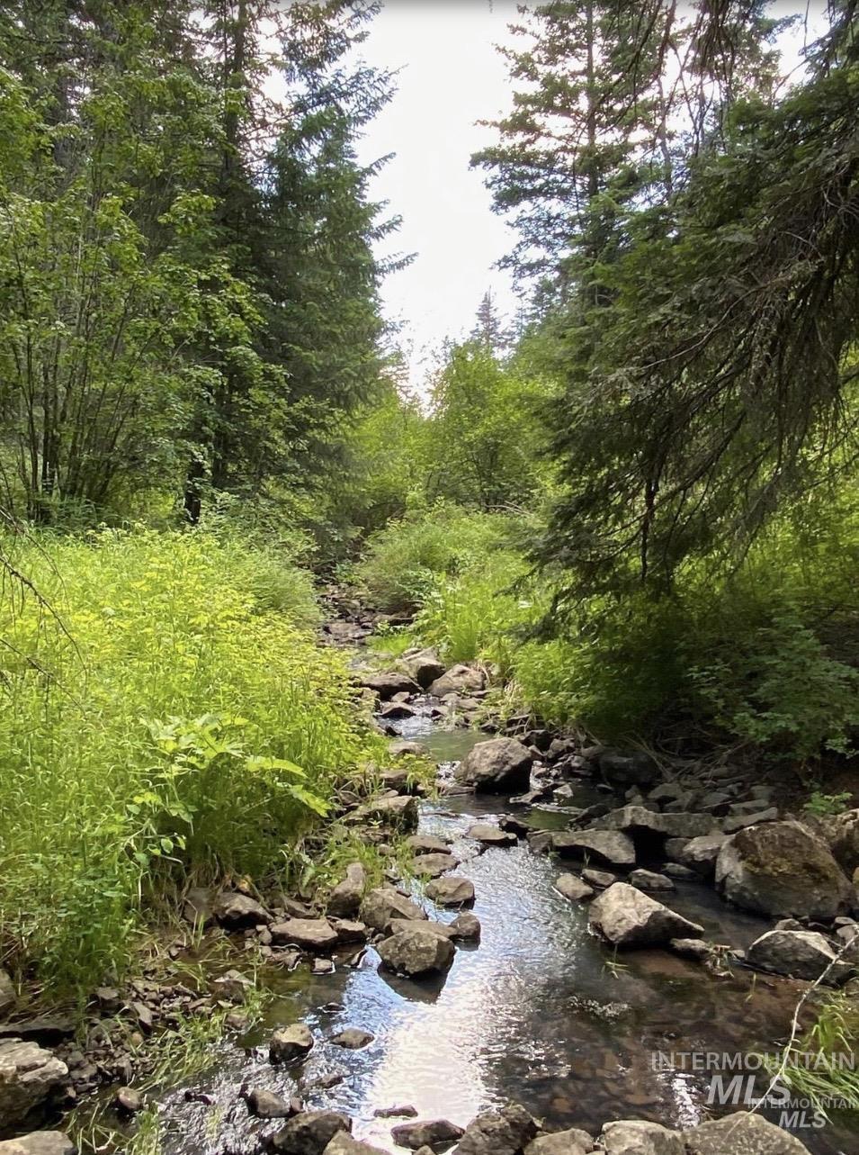 NNA Sangster Rd., Anatone, Washington 99401, Land For Sale, Price $128,000, 98993186