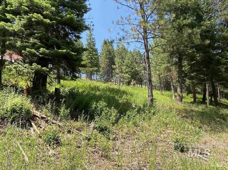 NNA Sangster Rd., Anatone, Washington 99401, Land For Sale, Price $128,000, 98993186