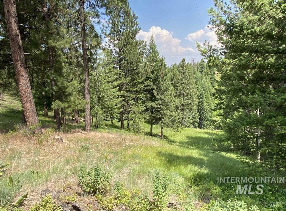 NNA Sangster Rd., Anatone, Washington 99401, Land For Sale, Price $128,000, 98993186
