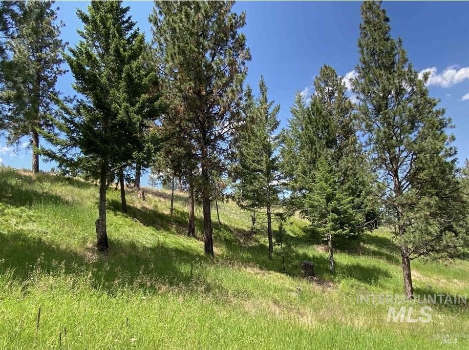 NNA Sangster Rd., Anatone, Washington 99401, Land For Sale, Price $128,000, 98993186