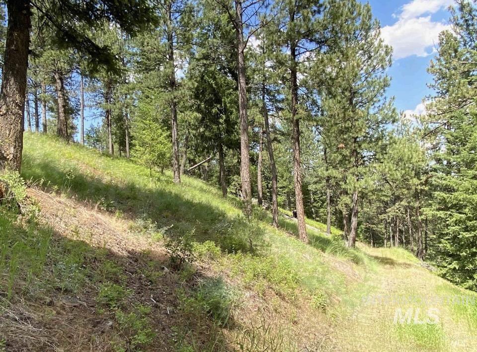 NNA Sangster Rd., Anatone, Washington 99401, Land For Sale, Price $128,000, 98993186
