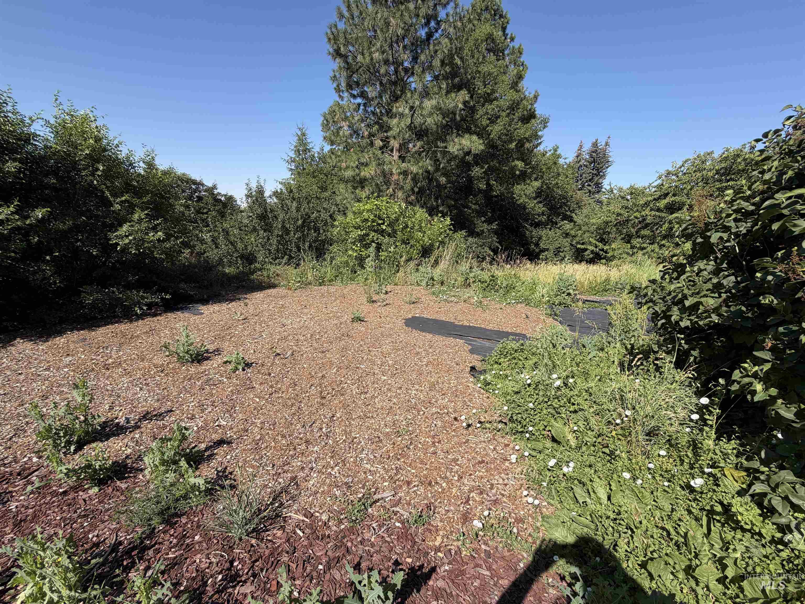 1021 Orchard Ave., Moscow, Idaho 83843, 3 Bedrooms, 1 Bathroom, Residential For Sale, Price $374,900, 98993214
