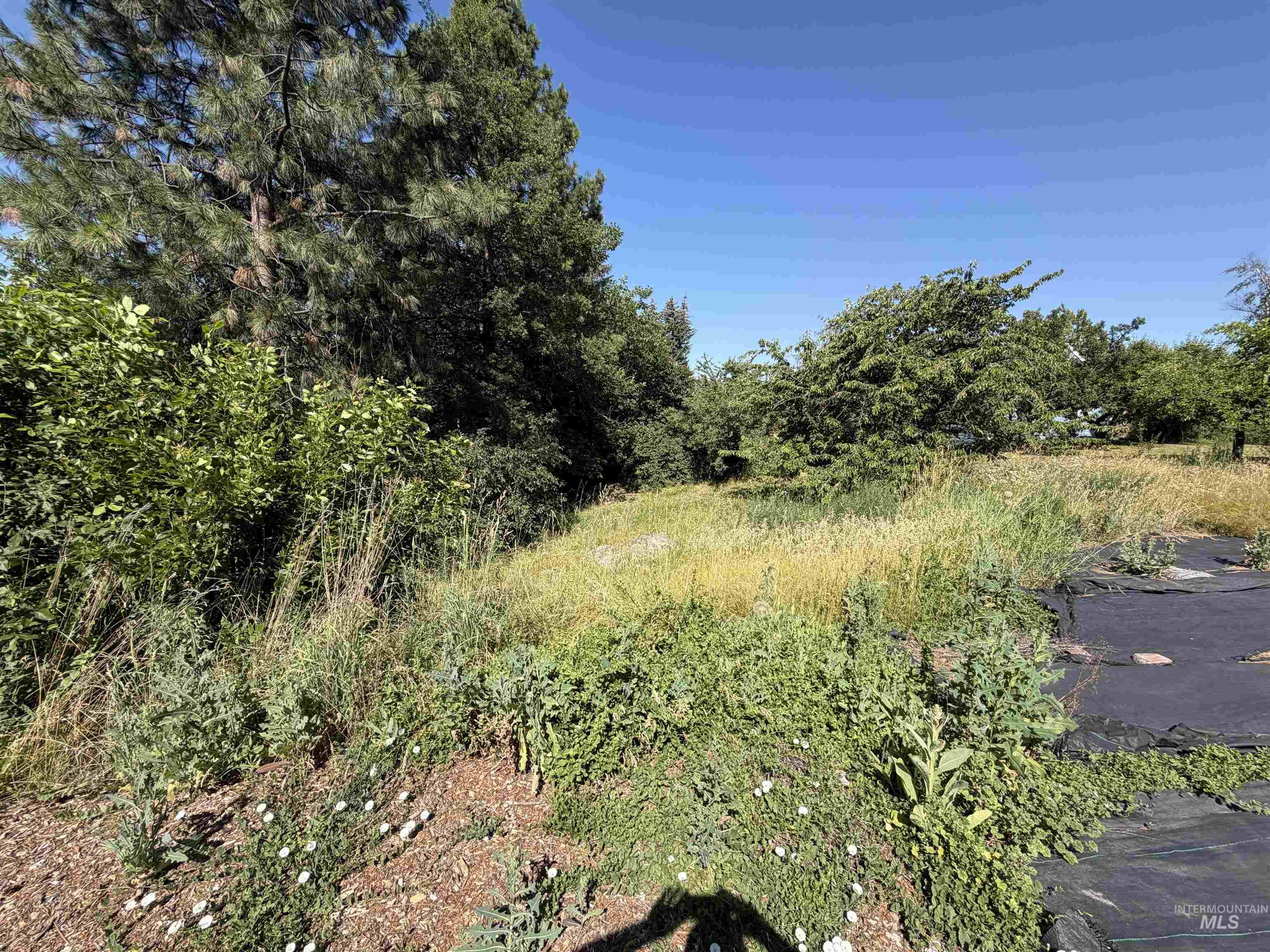 1021 Orchard Ave., Moscow, Idaho 83843, 3 Bedrooms, 1 Bathroom, Residential For Sale, Price $374,900, 98993214