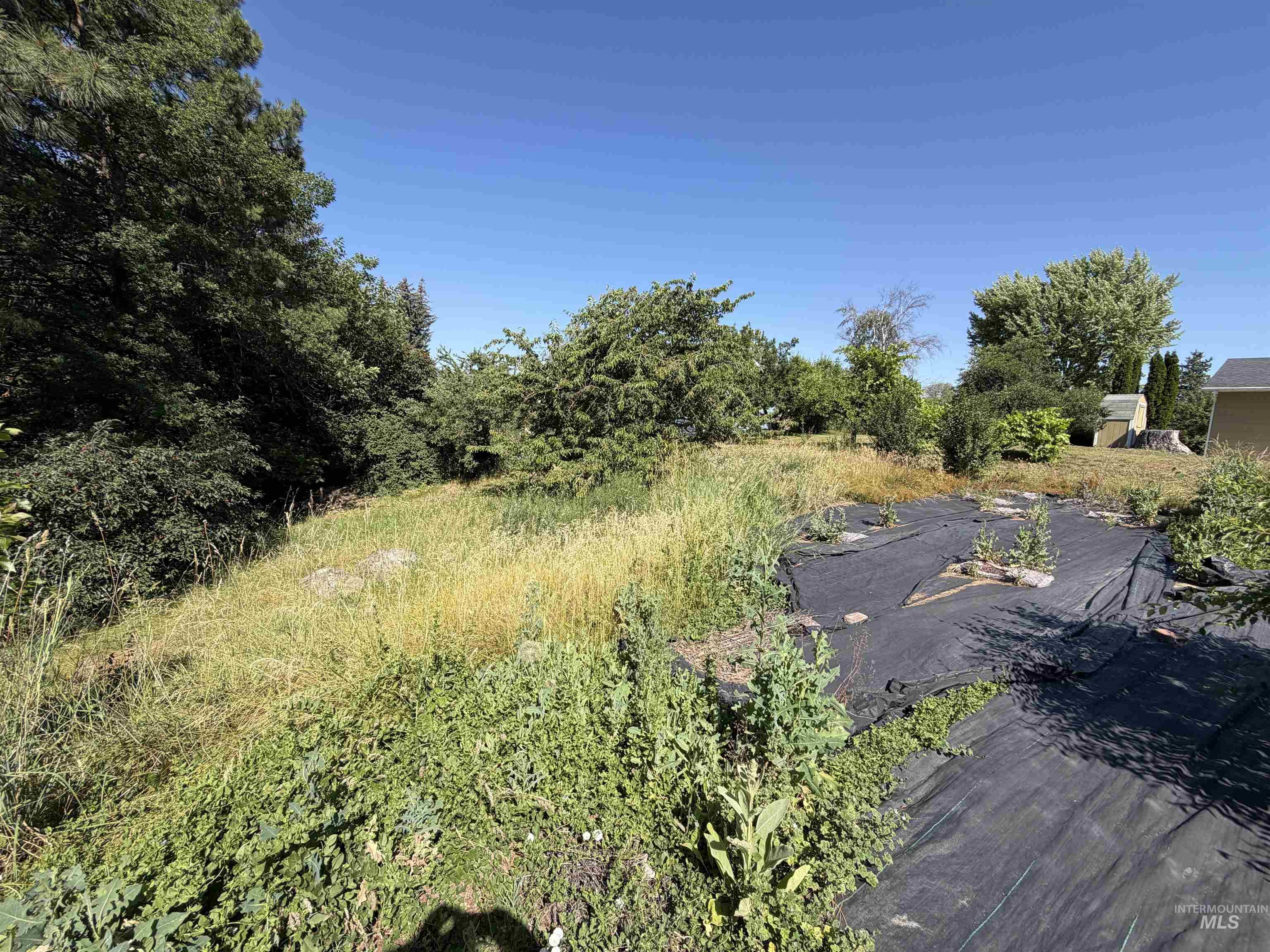 1021 Orchard Ave., Moscow, Idaho 83843, 3 Bedrooms, 1 Bathroom, Residential For Sale, Price $374,900, 98993214