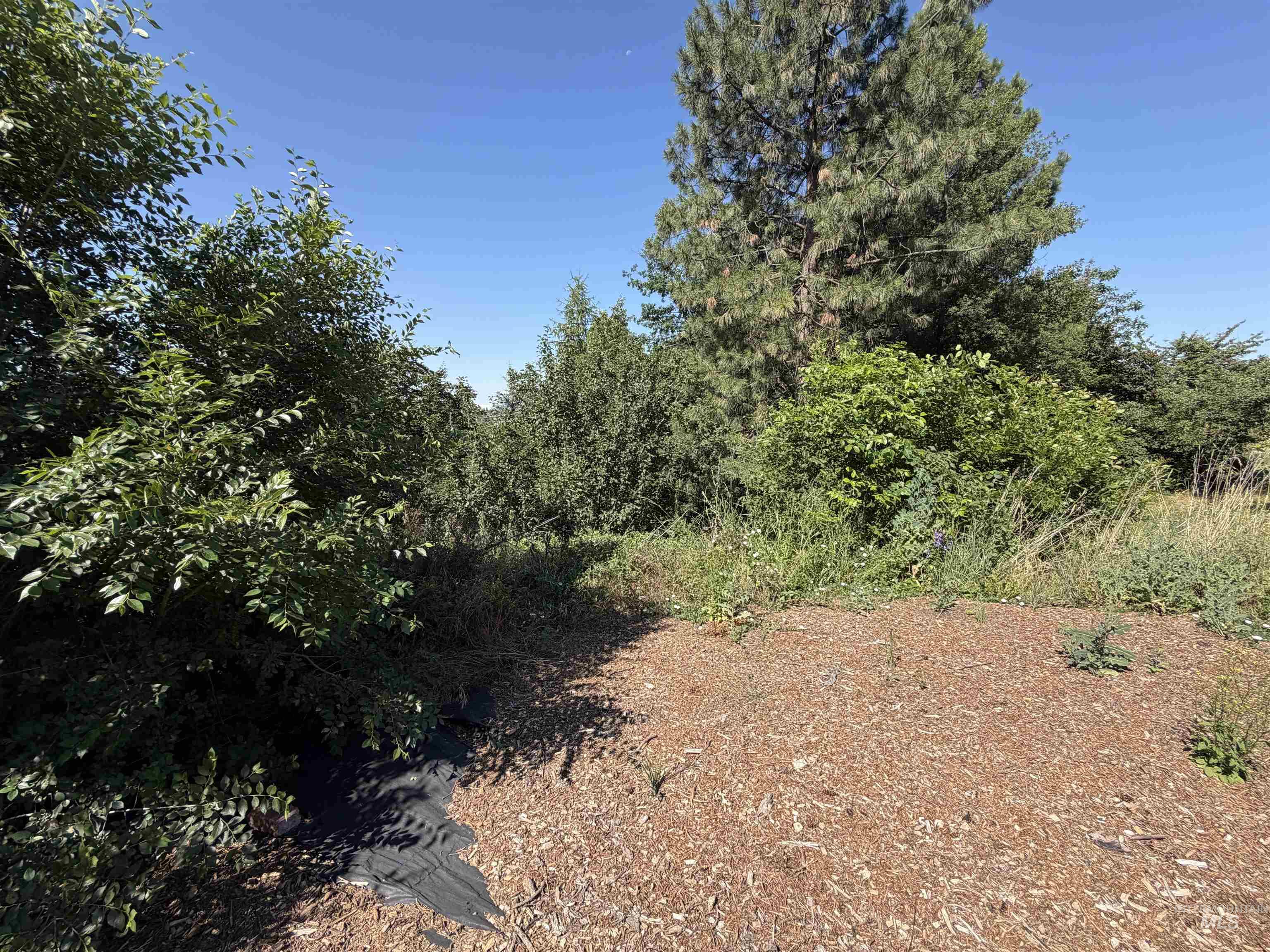 1021 Orchard Ave., Moscow, Idaho 83843, 3 Bedrooms, 1 Bathroom, Residential For Sale, Price $374,900, 98993214