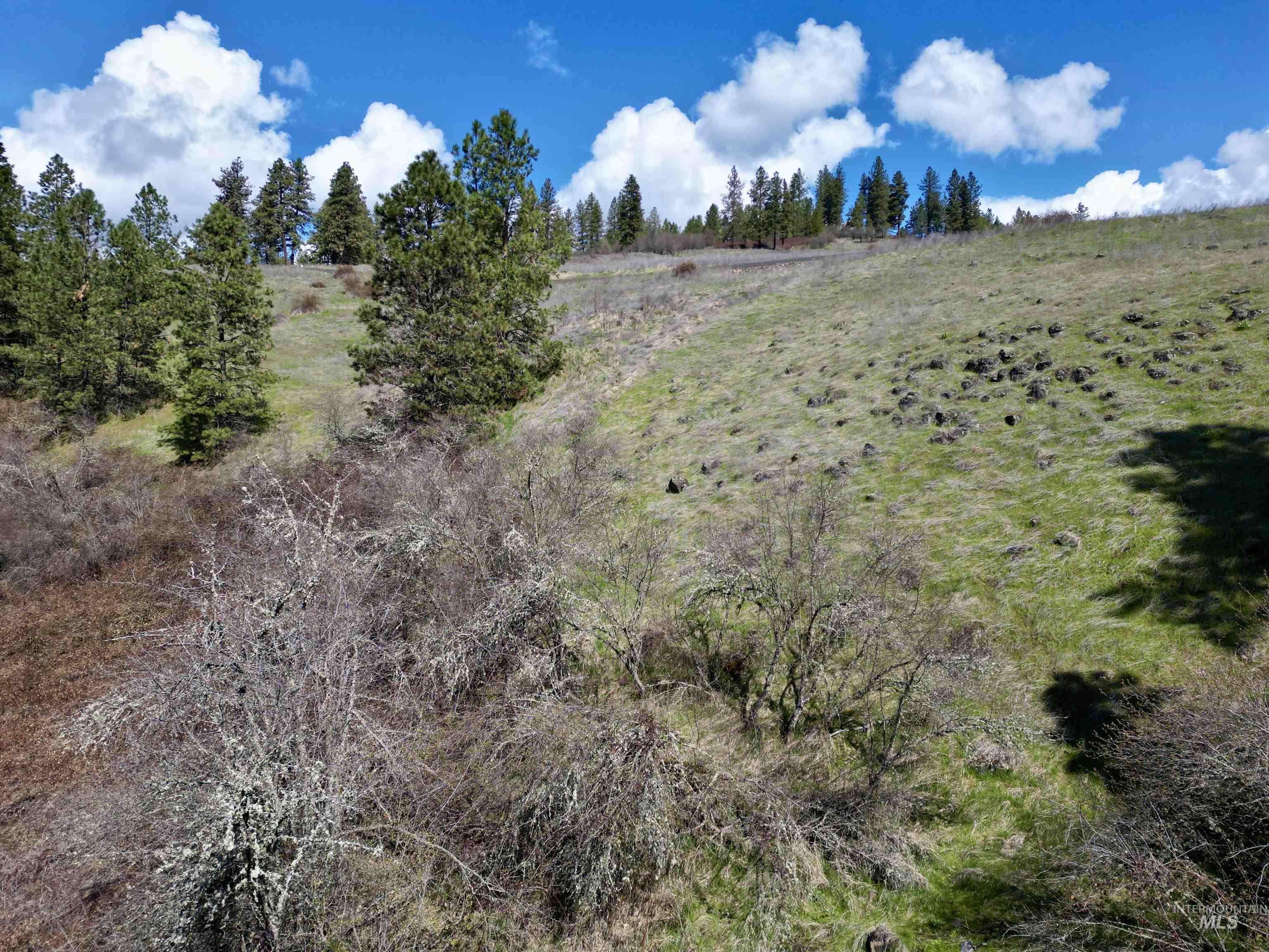 TBD Old Peck Grade, Lenore, Idaho 83541, Land For Sale, Price $45,000, 98993217