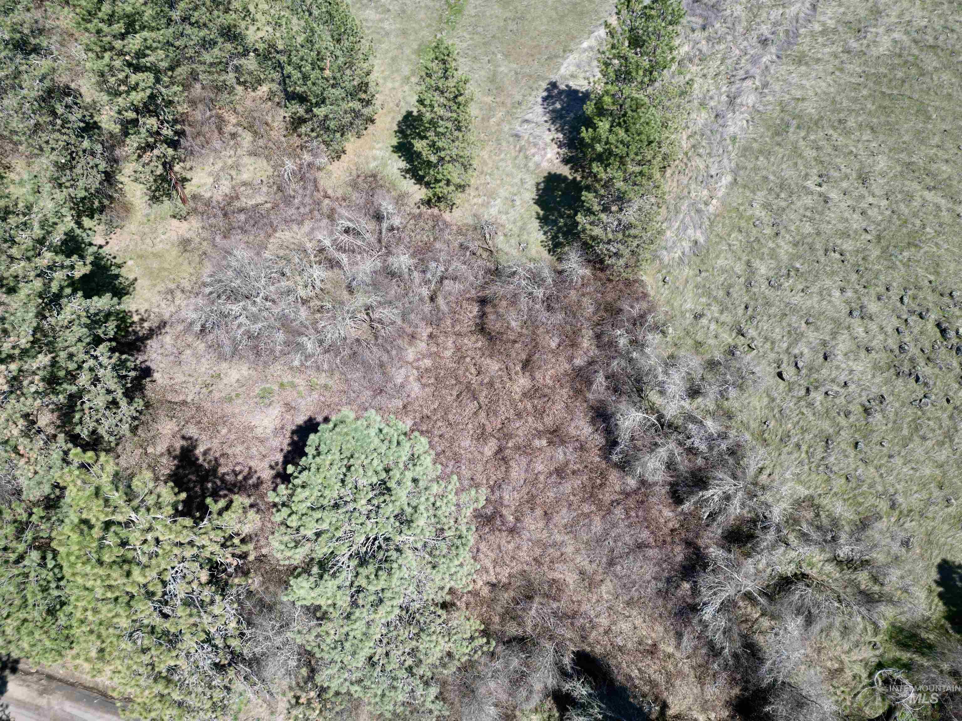 TBD Old Peck Grade, Lenore, Idaho 83541, Land For Sale, Price $45,000, 98993217