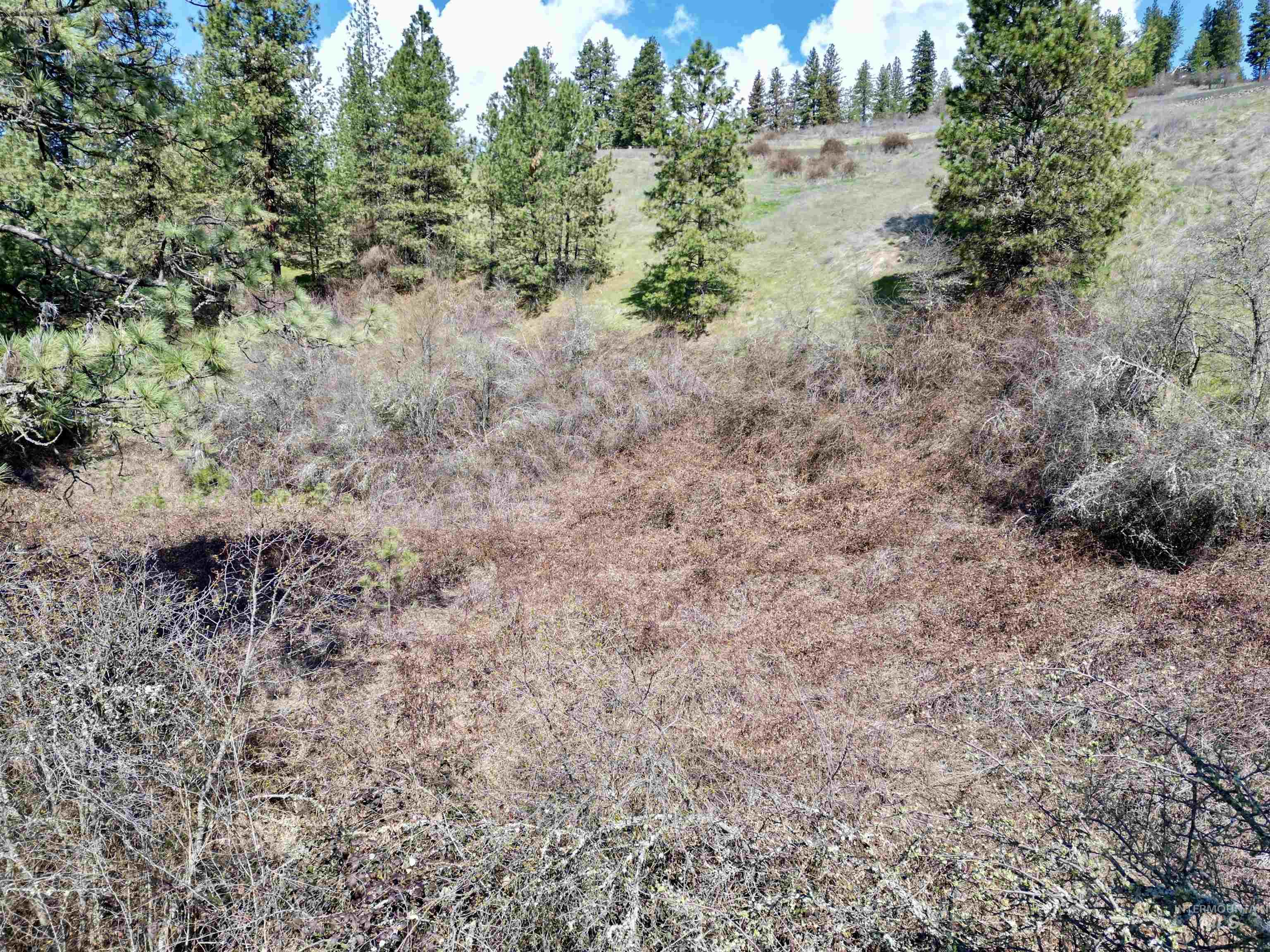 TBD Old Peck Grade, Lenore, Idaho 83541, Land For Sale, Price $45,000, 98993217