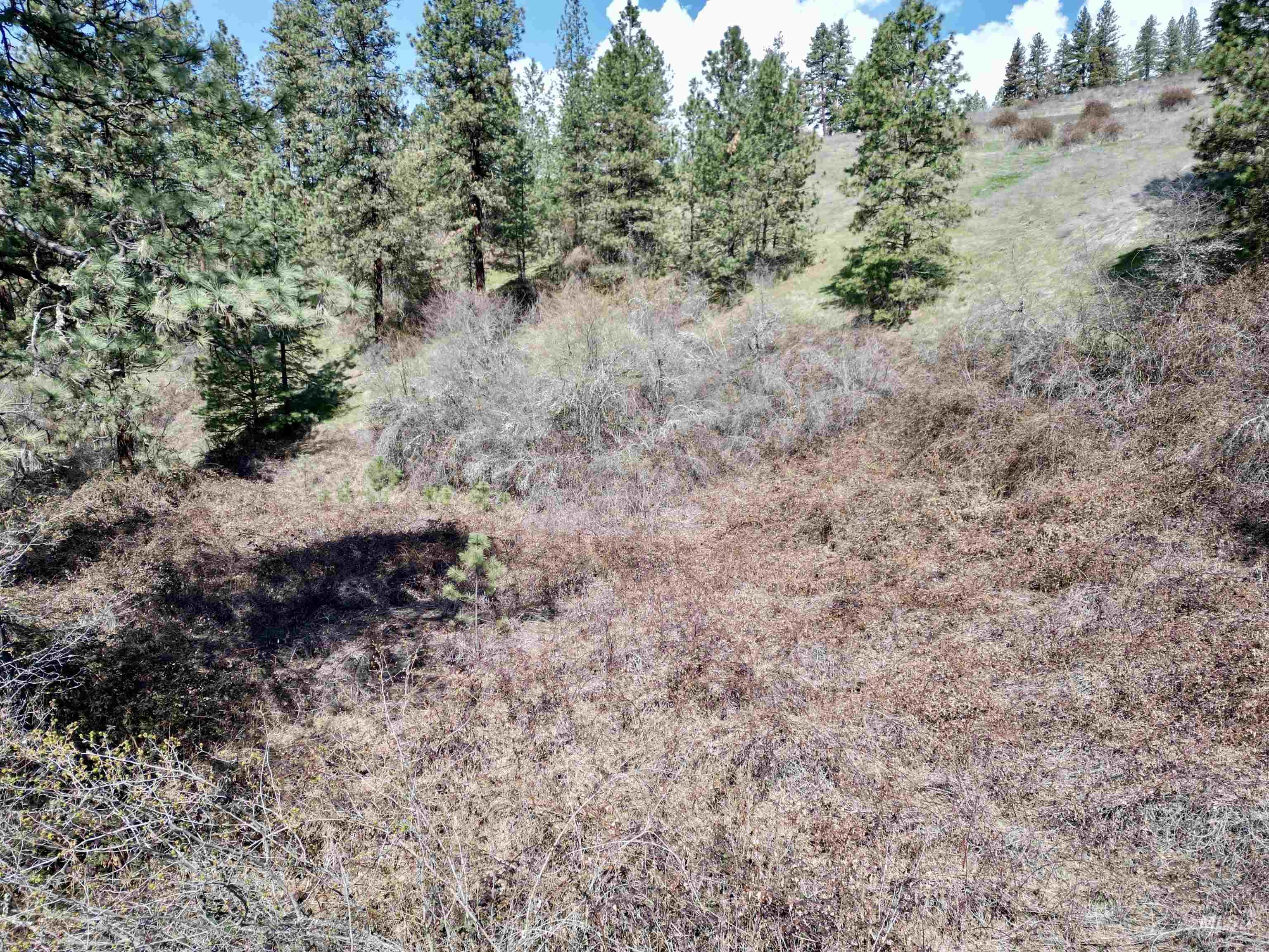 TBD Old Peck Grade, Lenore, Idaho 83541, Land For Sale, Price $45,000, 98993217