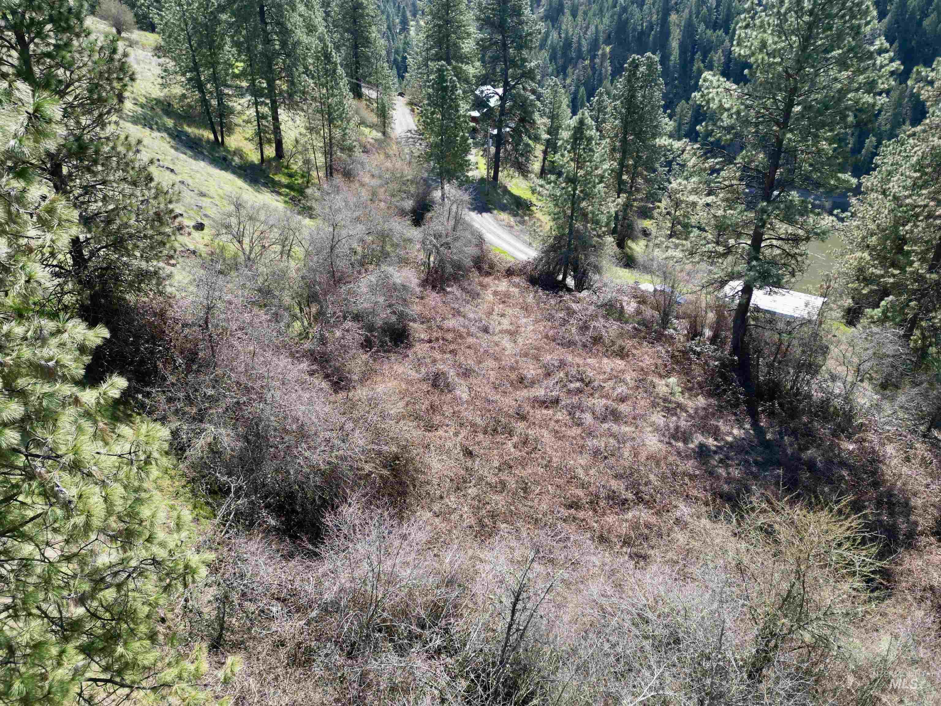 TBD Old Peck Grade, Lenore, Idaho 83541, Land For Sale, Price $45,000, 98993217