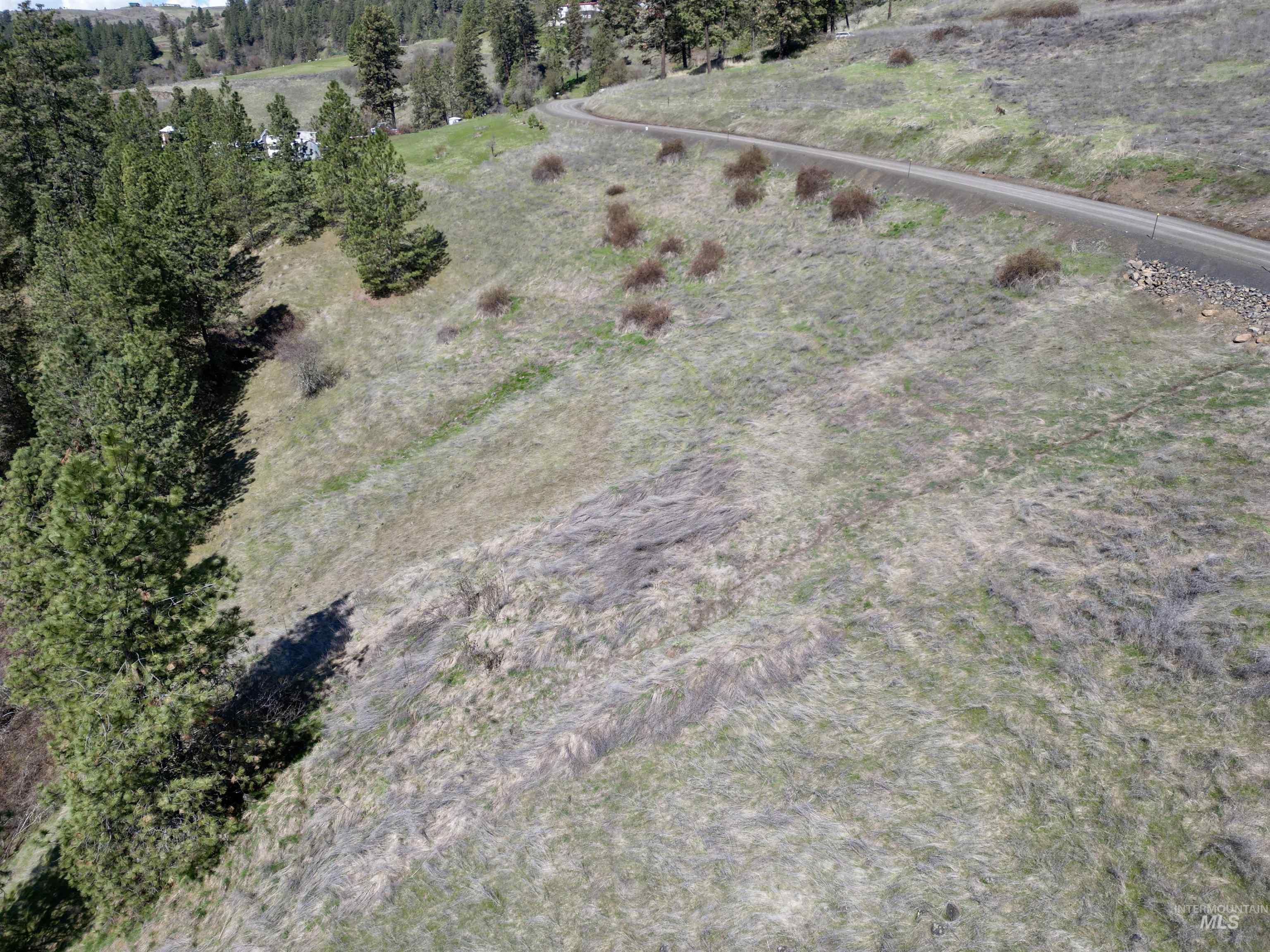TBD Old Peck Grade, Lenore, Idaho 83541, Land For Sale, Price $45,000, 98993217