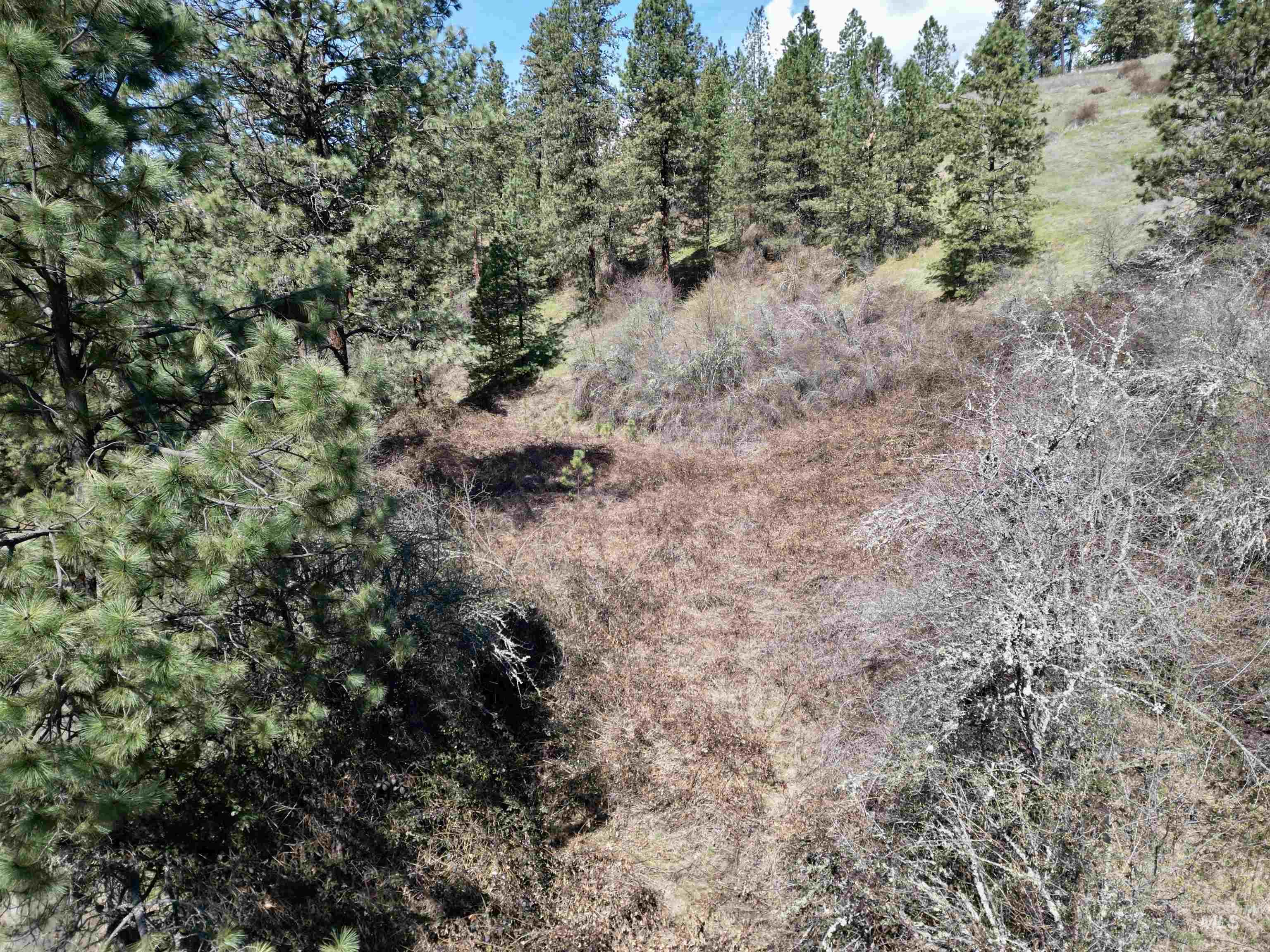 TBD Old Peck Grade, Lenore, Idaho 83541, Land For Sale, Price $45,000, 98993217