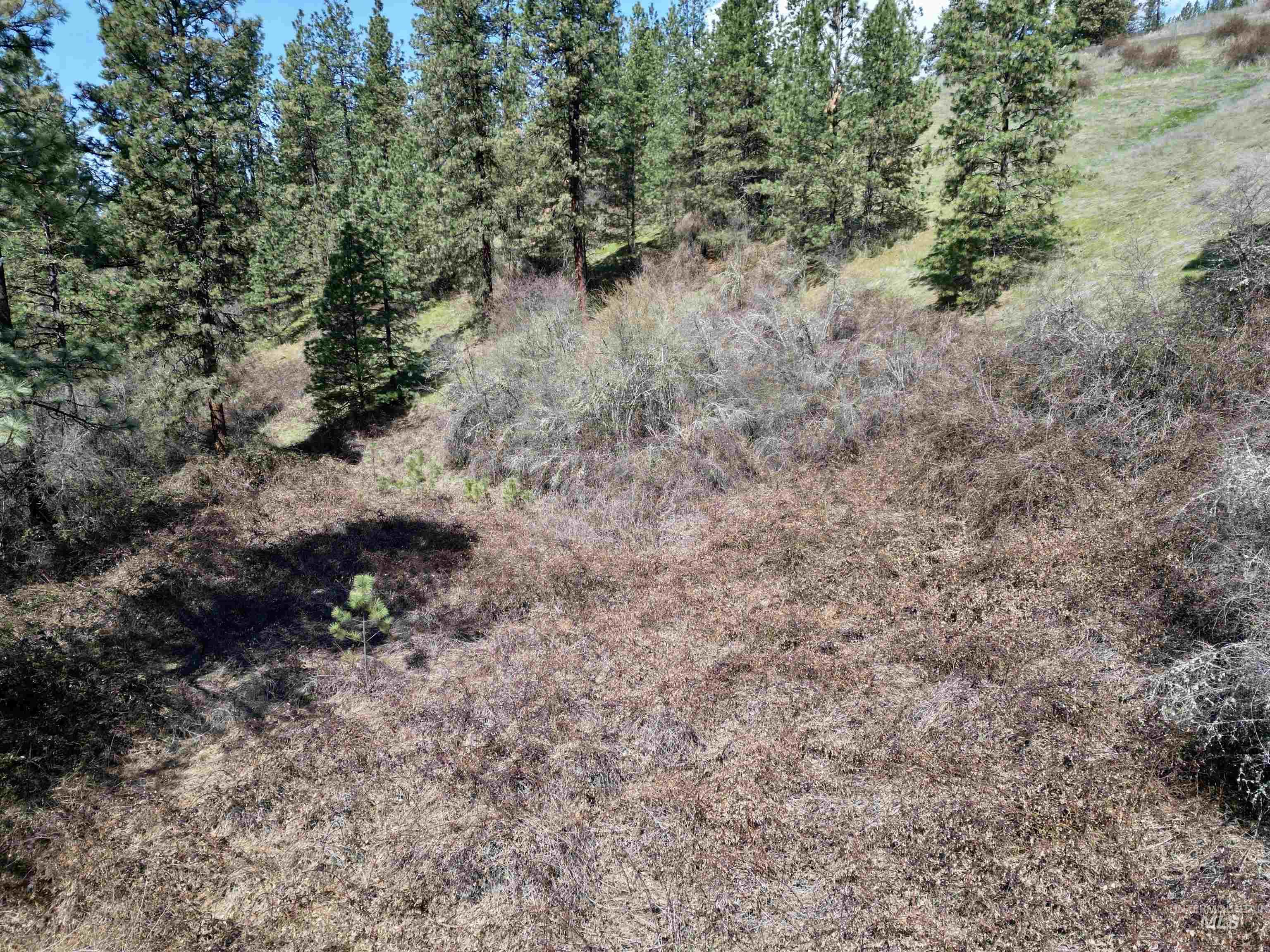 TBD Old Peck Grade, Lenore, Idaho 83541, Land For Sale, Price $45,000, 98993217
